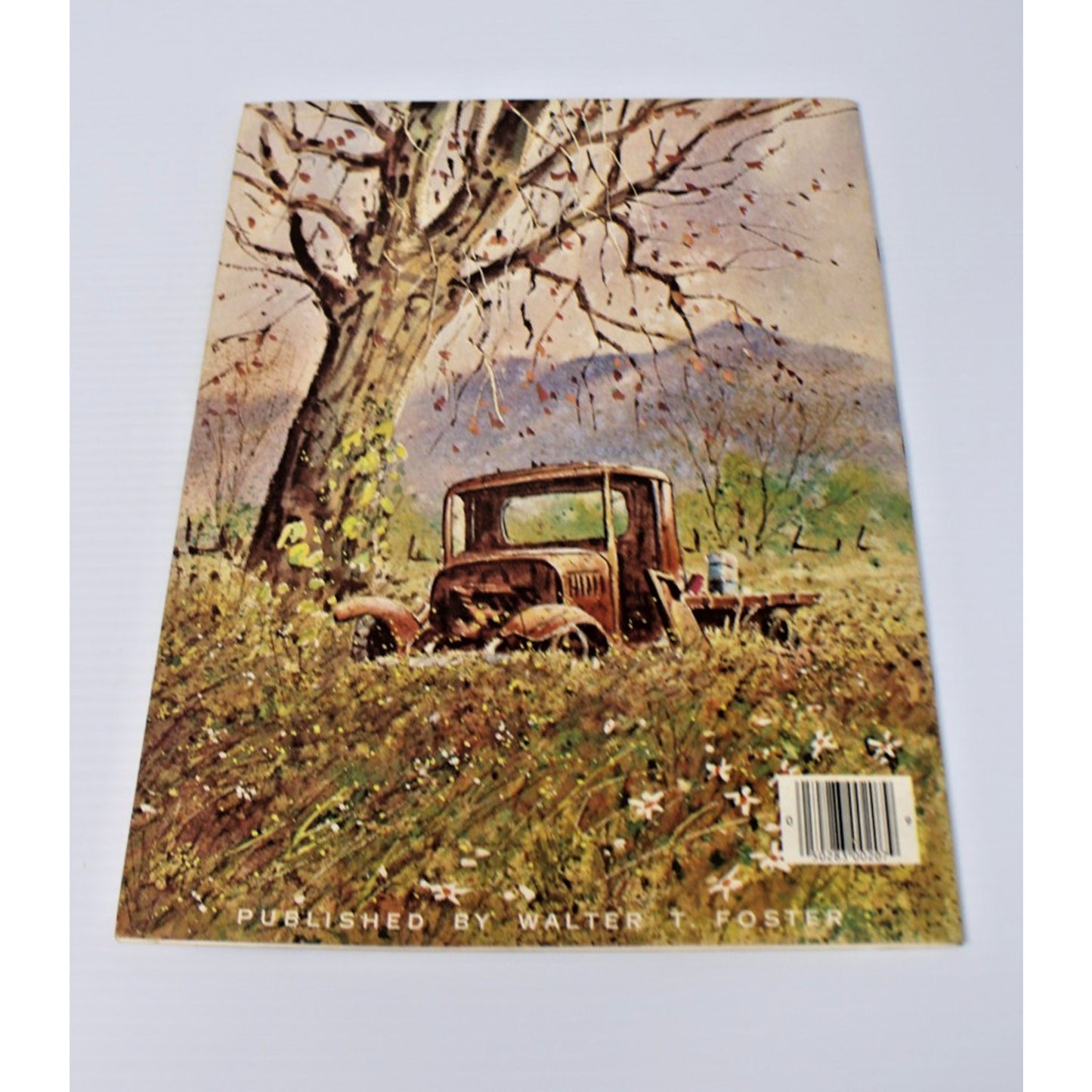 Special Effects In Watercolors- Kolan Peterson, Walter Foster #207 VTG Painting