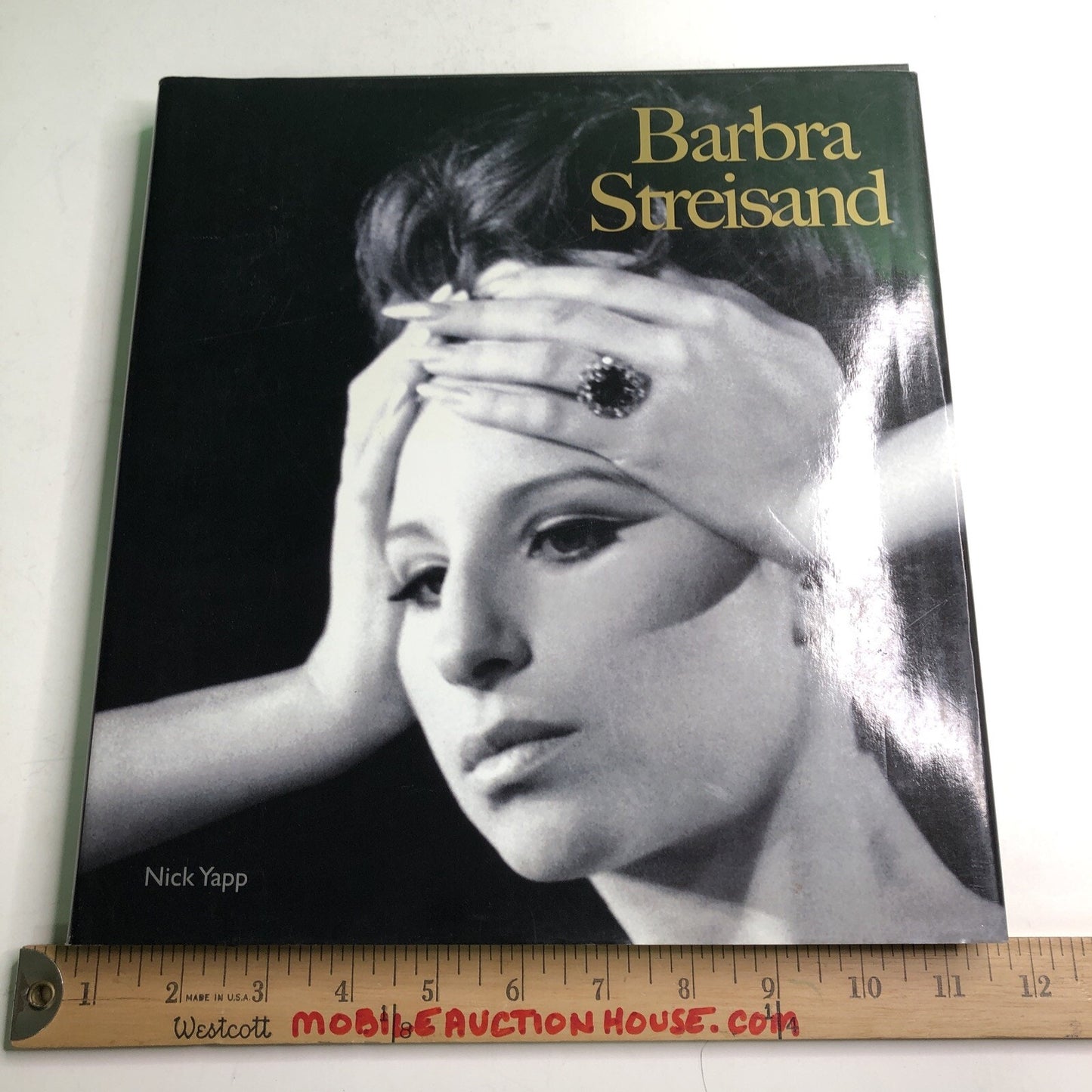 BARBRA STREISAND by Nick Yapp (Hardcover DJ Illustrated 2009)