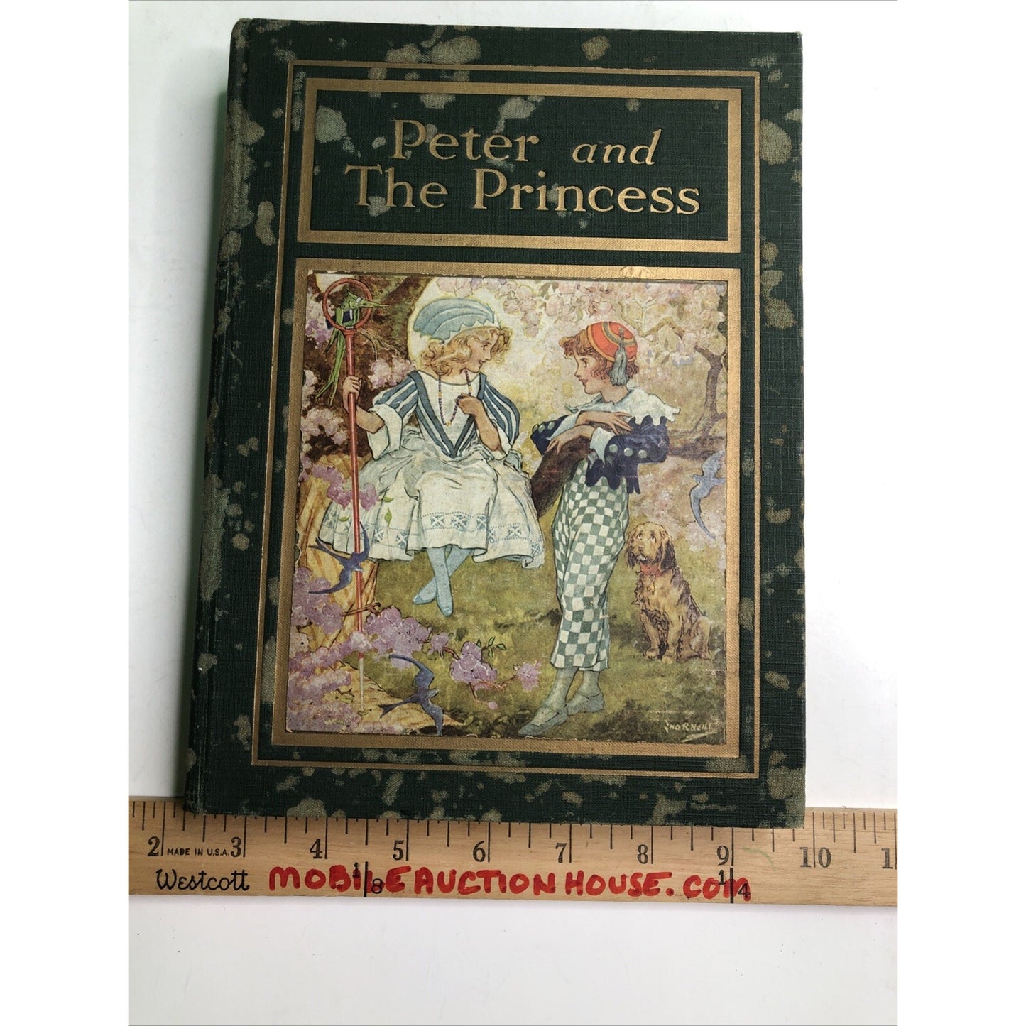PETER AND THE PRINCESS by Carl H. Grabo Art by John R. Neill 1st Edition 1920 HC