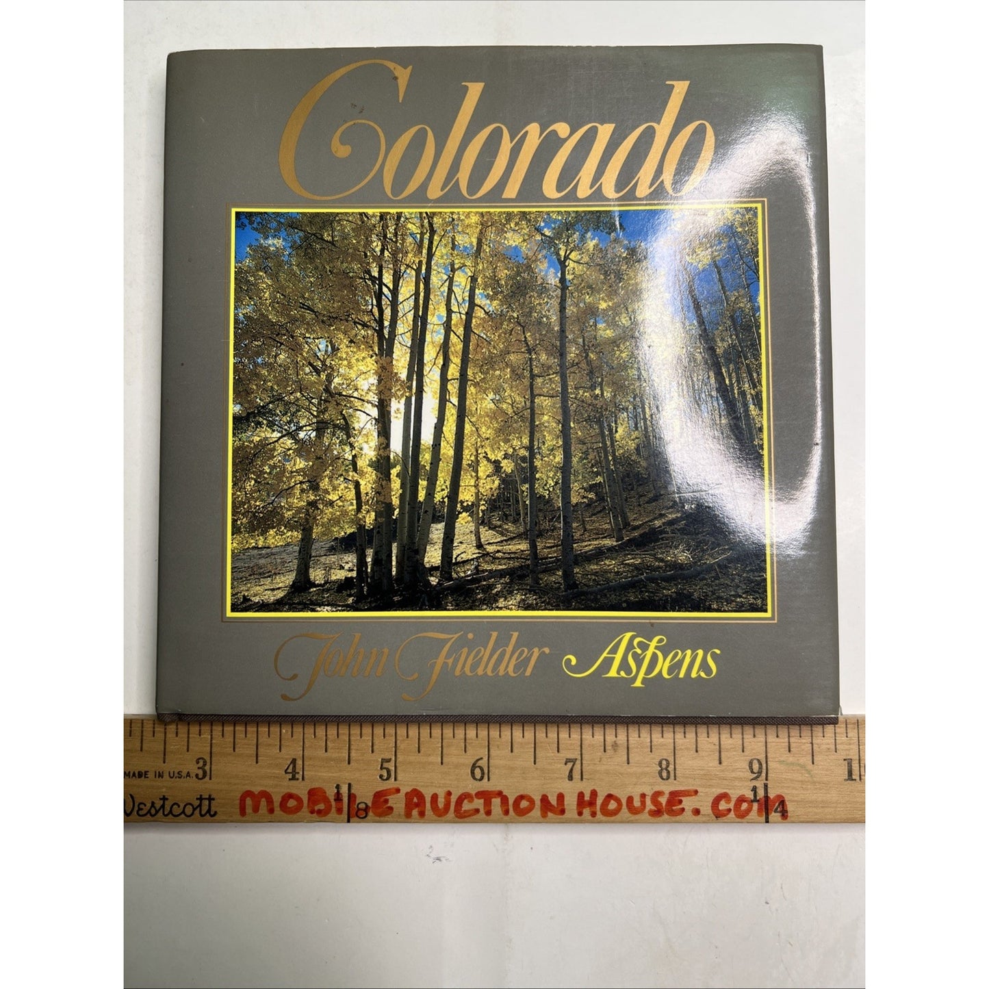 Colorado Aspens Photography and Words by John Fielder HC DJ 1984