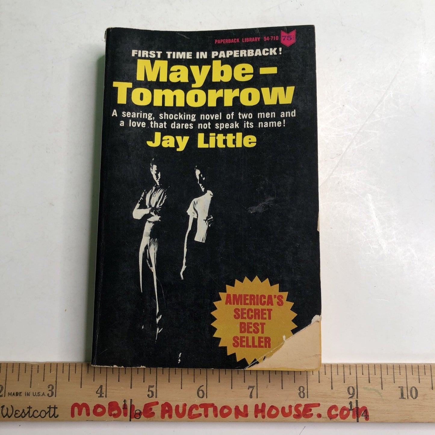 MAYBE - TOMORROW 1965 JAY LITTLE Paperback Library LGBTQ+ US