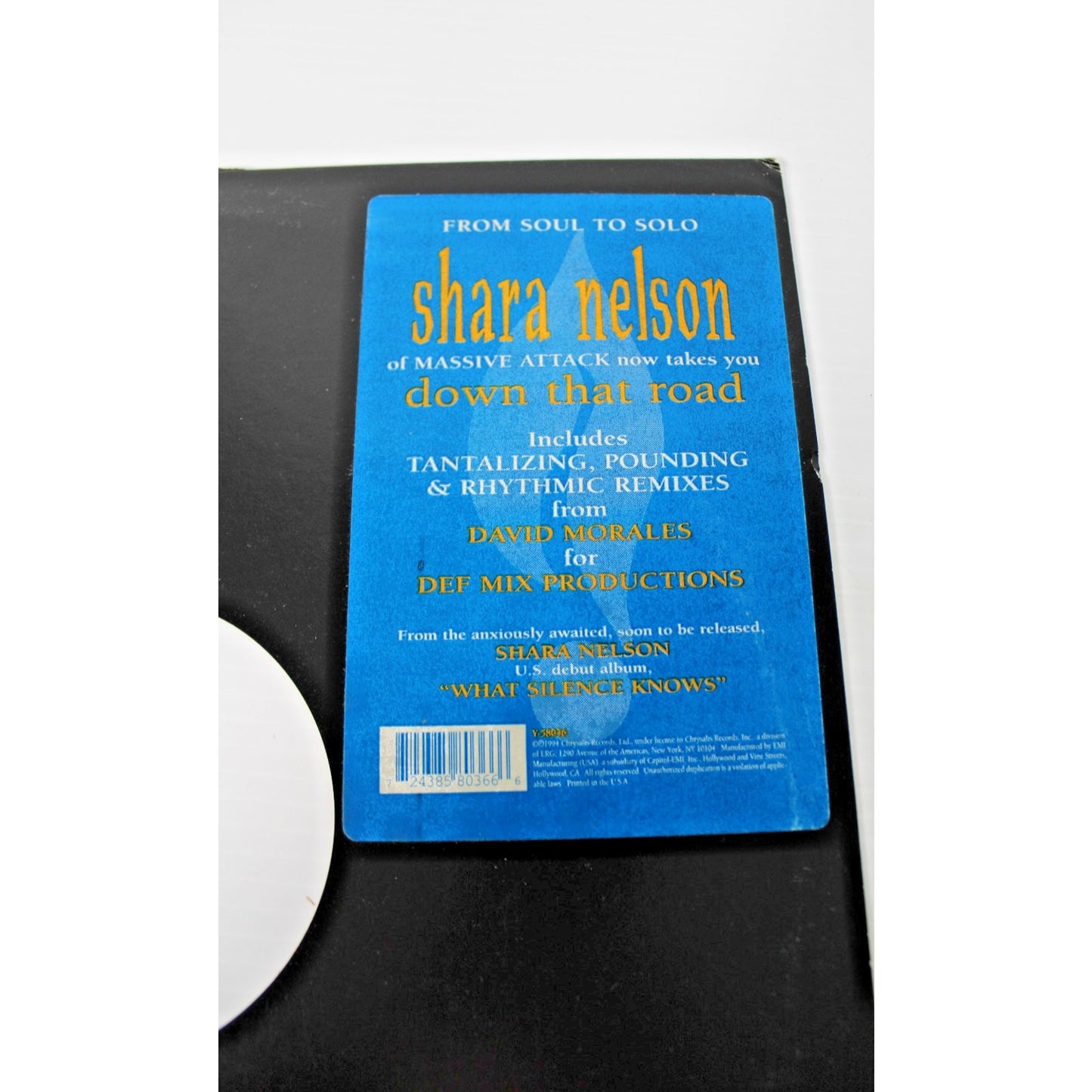 Shara Nelson- Down That Road - 12" Vinyl 1994 CHRYSALIS, Massive Attack- RARE!