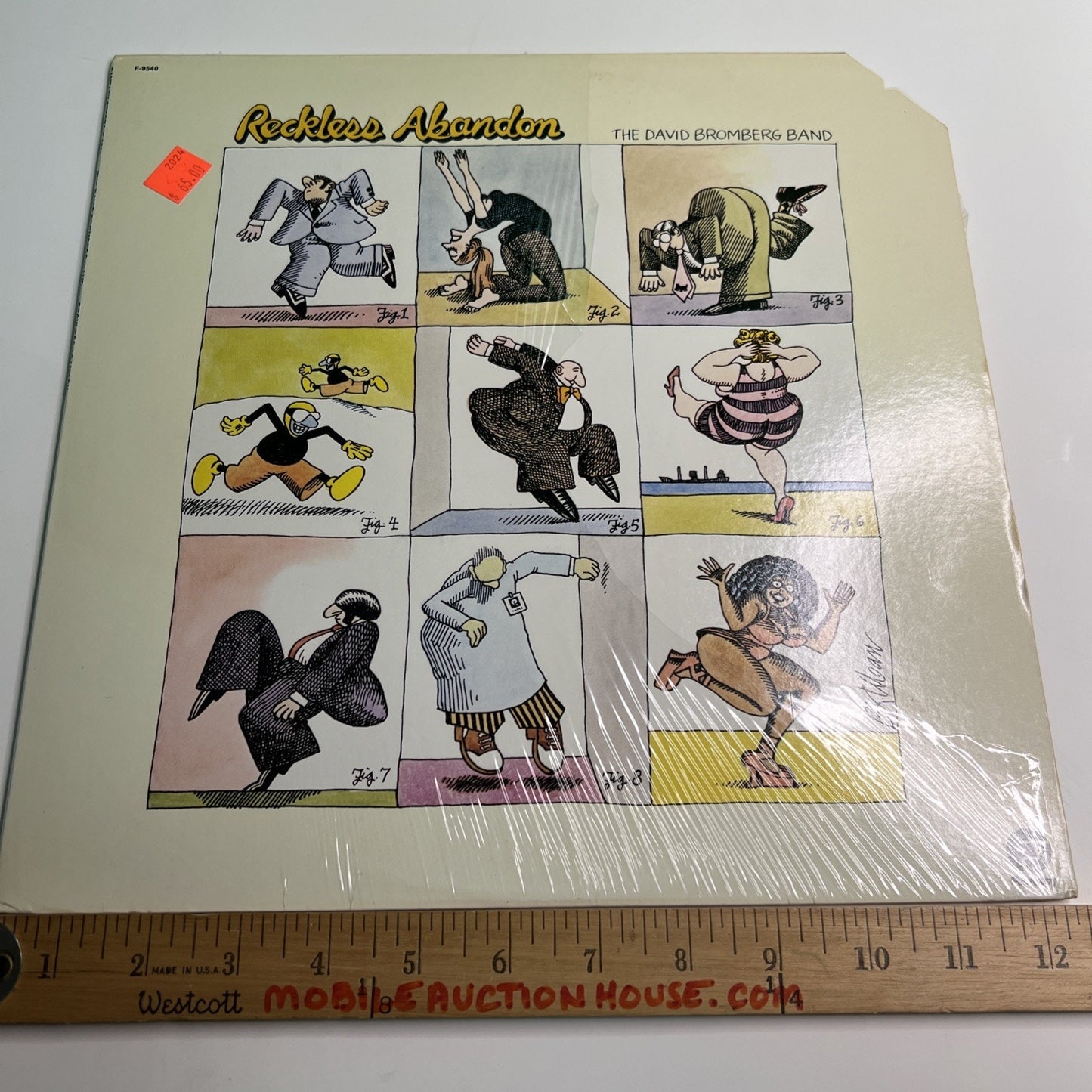 David Bromberg - Reckless Abandon - Fantasy Records 1977