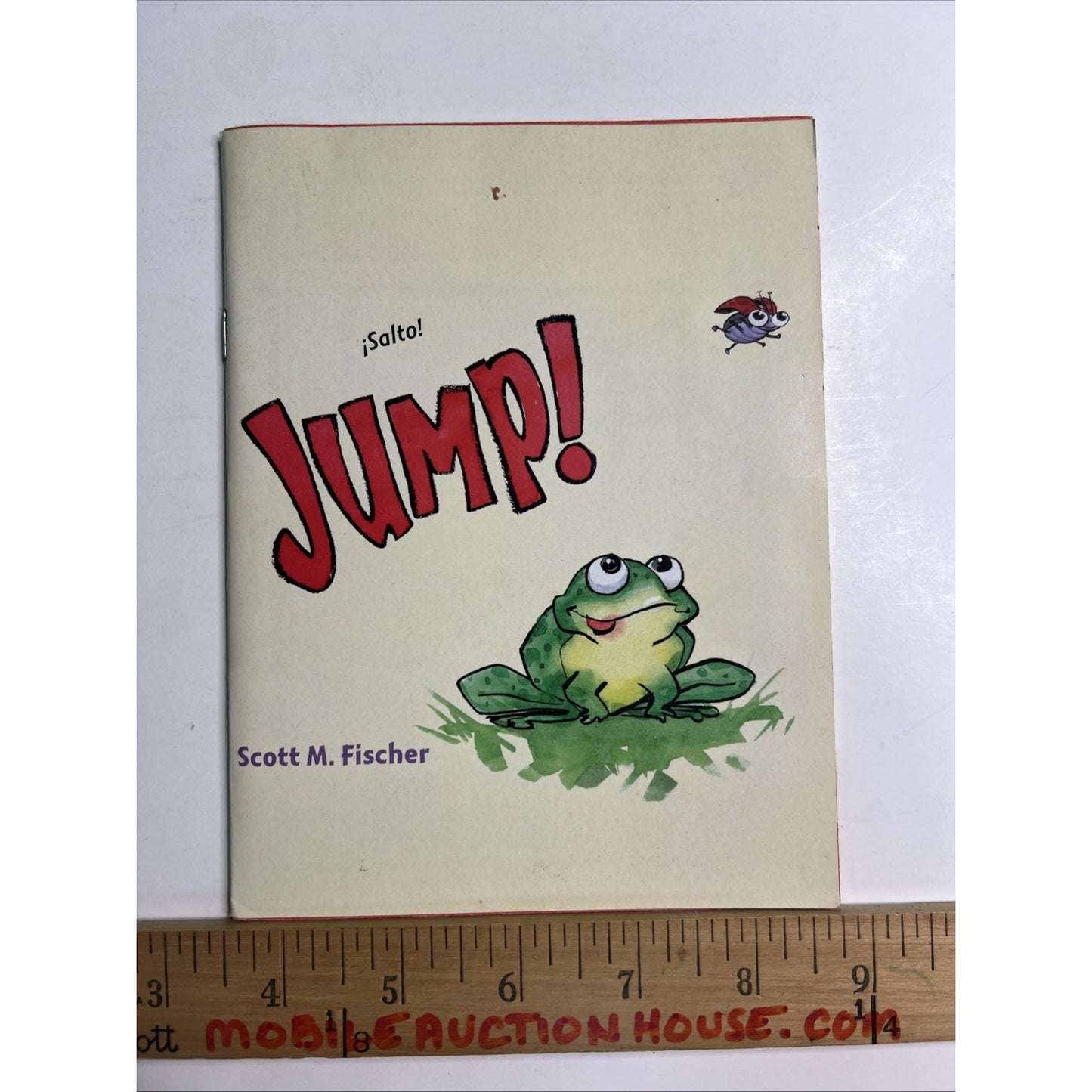 Salto! Jump! by Scott M Fischer Simon And Schuster Young Readers English Spanish