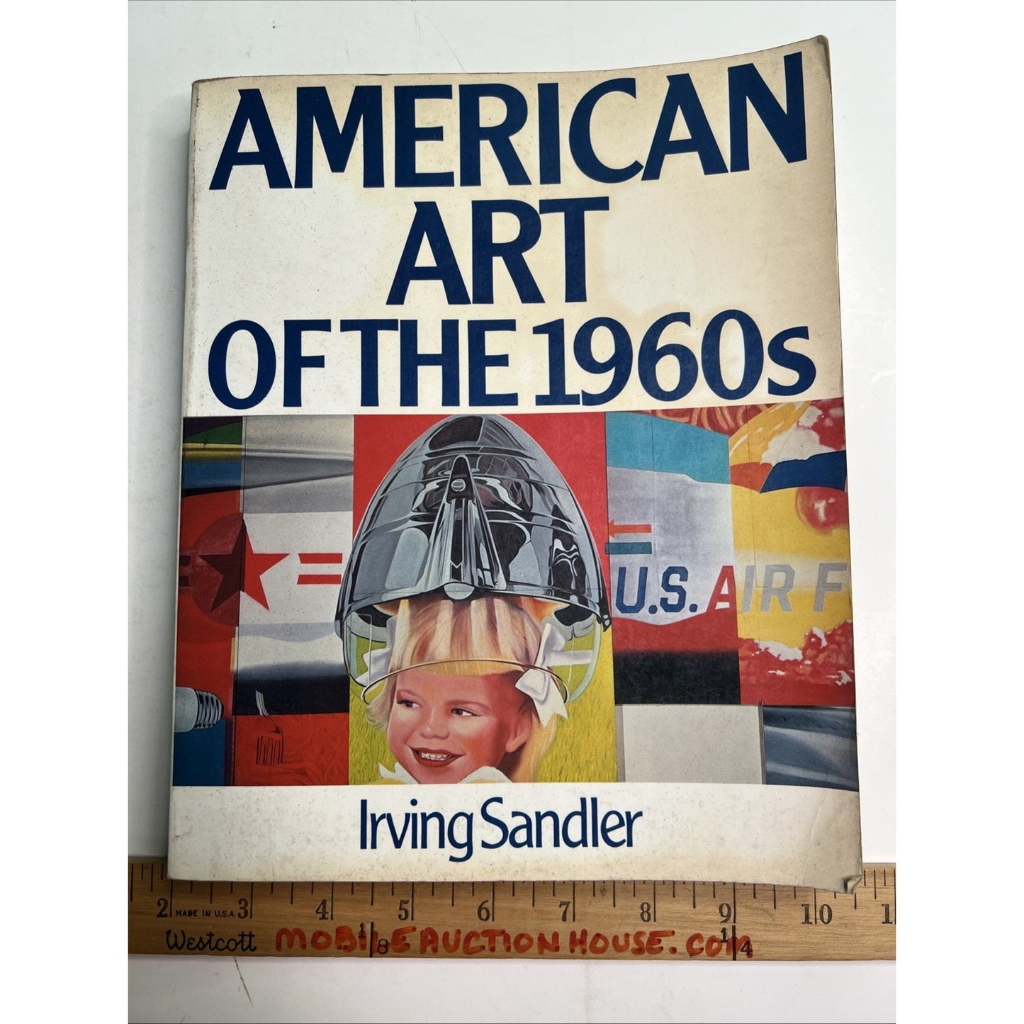AMERICAN ART OF THE 1960s By Irving Sandler 1989 PB 1st Edition Illustrated