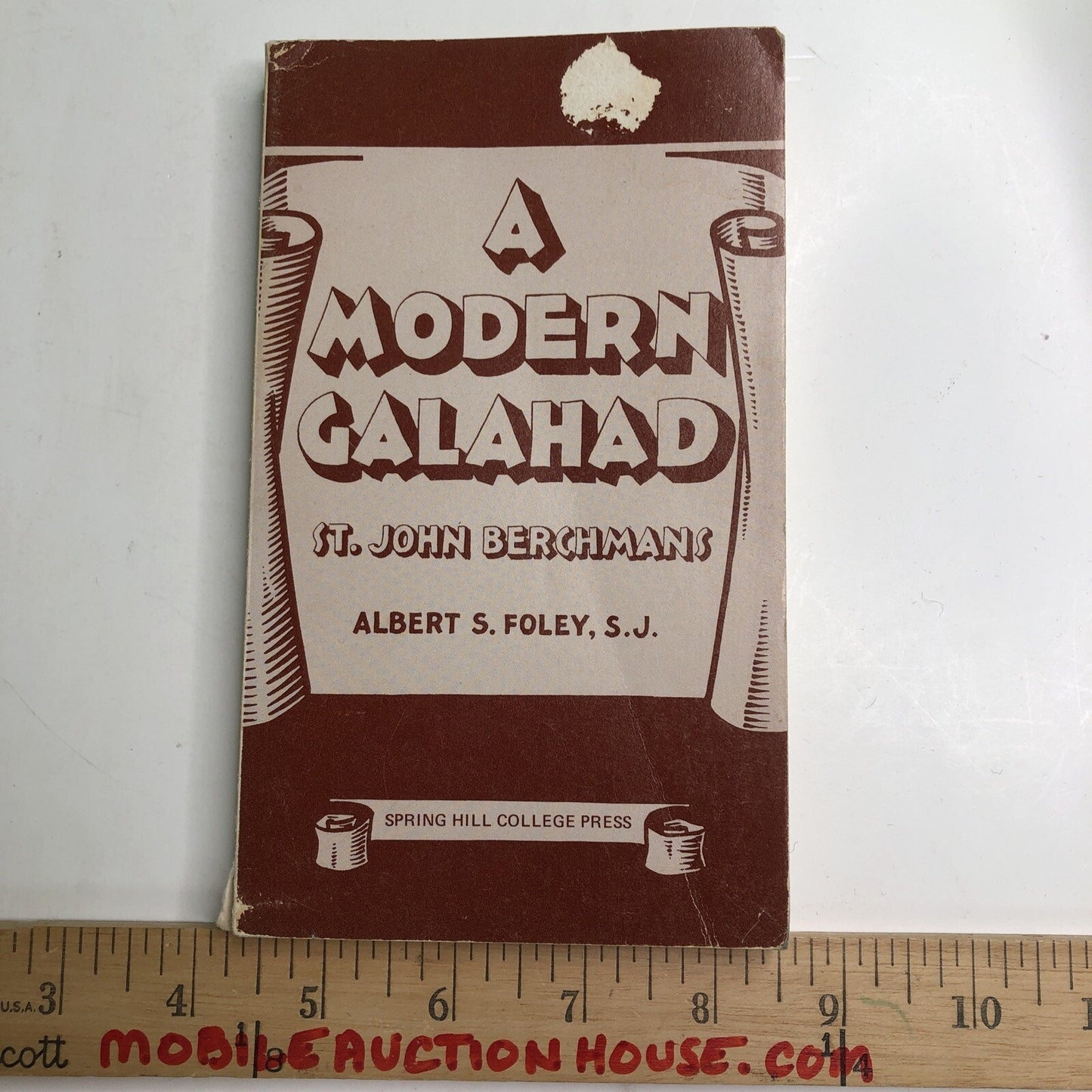 A Modern Galahad St John Berchmans By Albert Foley Spring Hill College Mobile AL