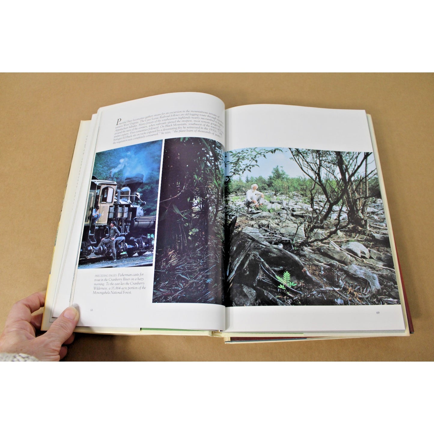 Lot of 3 National Geographic Books: America's Woodlands, Valleys, and Wetlands