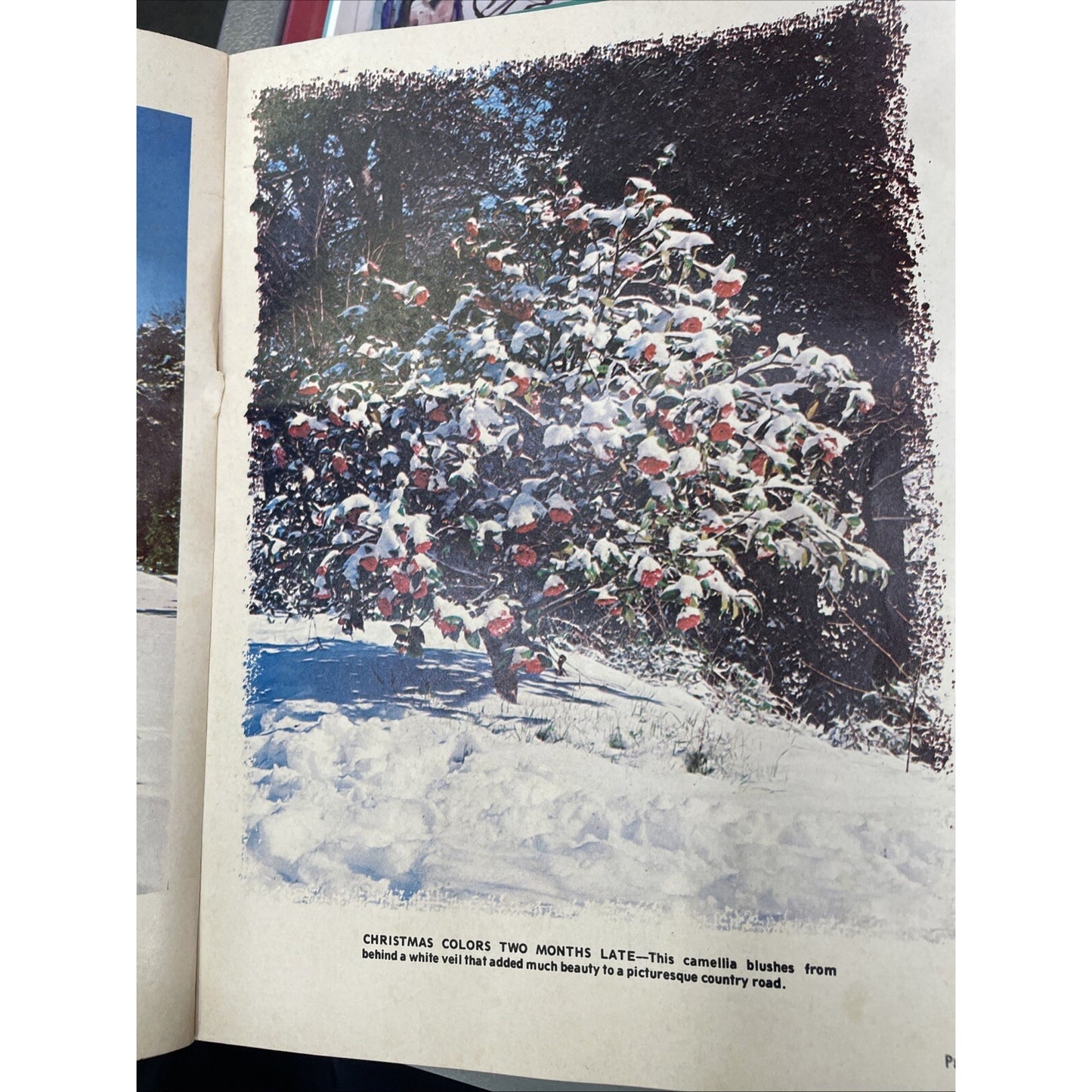 A DAY TO REMEMBER-FEBRUARY 9, 1973 -snow in Mobile, ALABAMA! (storage unit find)