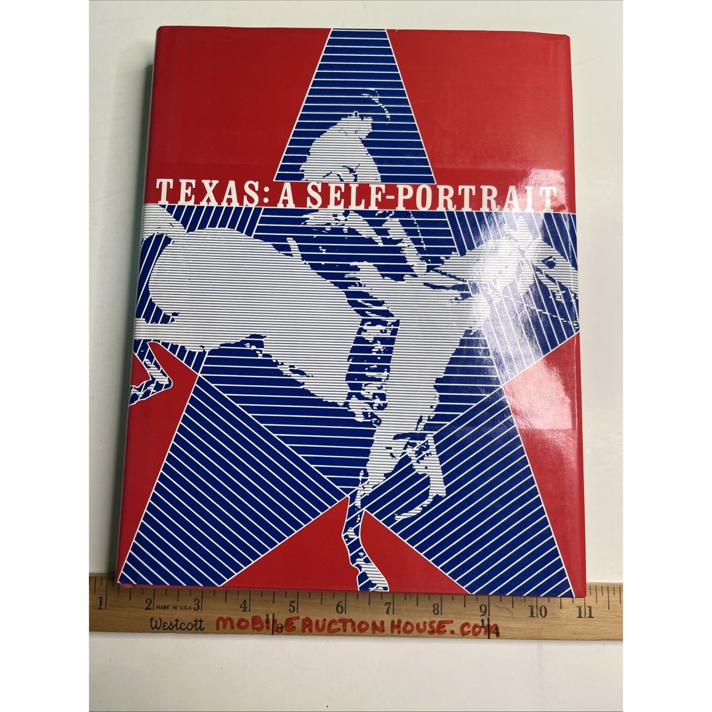 Texas A Self-Portrait by Jon Holmes HC DJ Illustrated 1983 Texas History