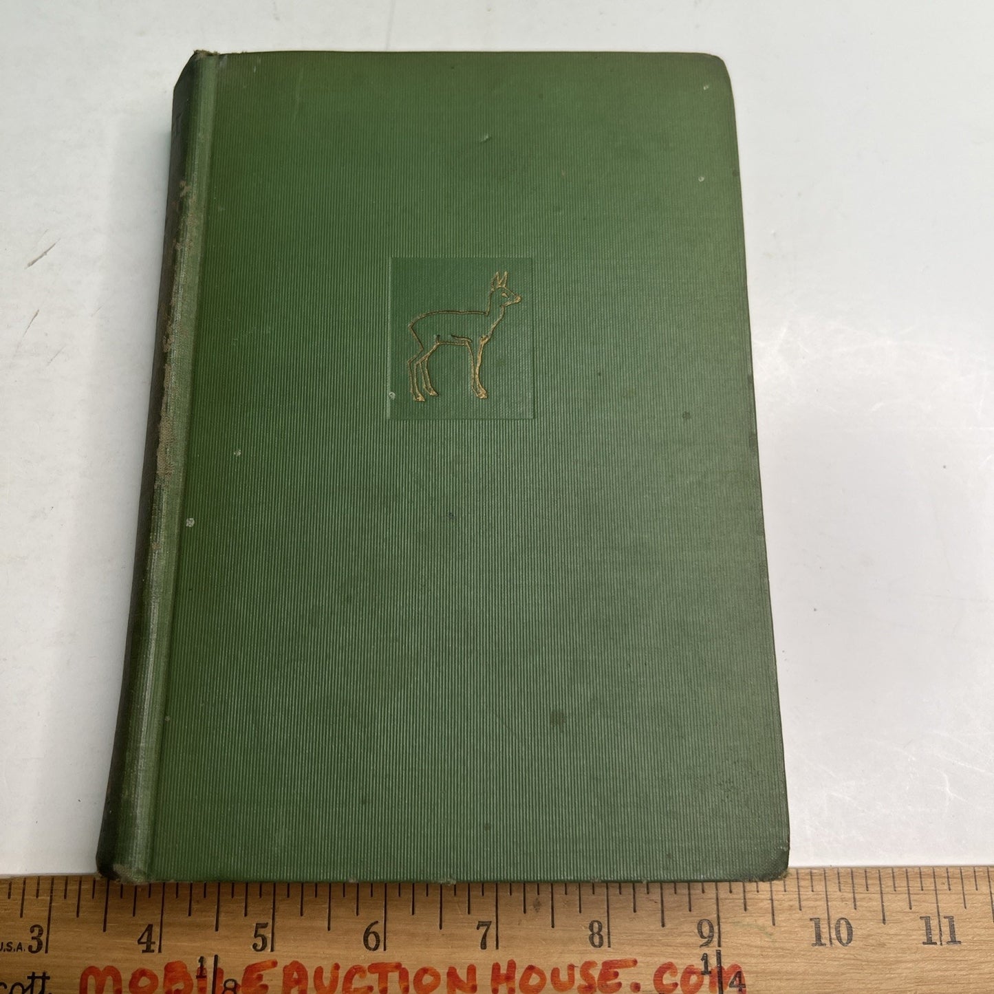 BAMBI A Life in the Woods by Felix Salten First 1st Edition 1929 First Print HC