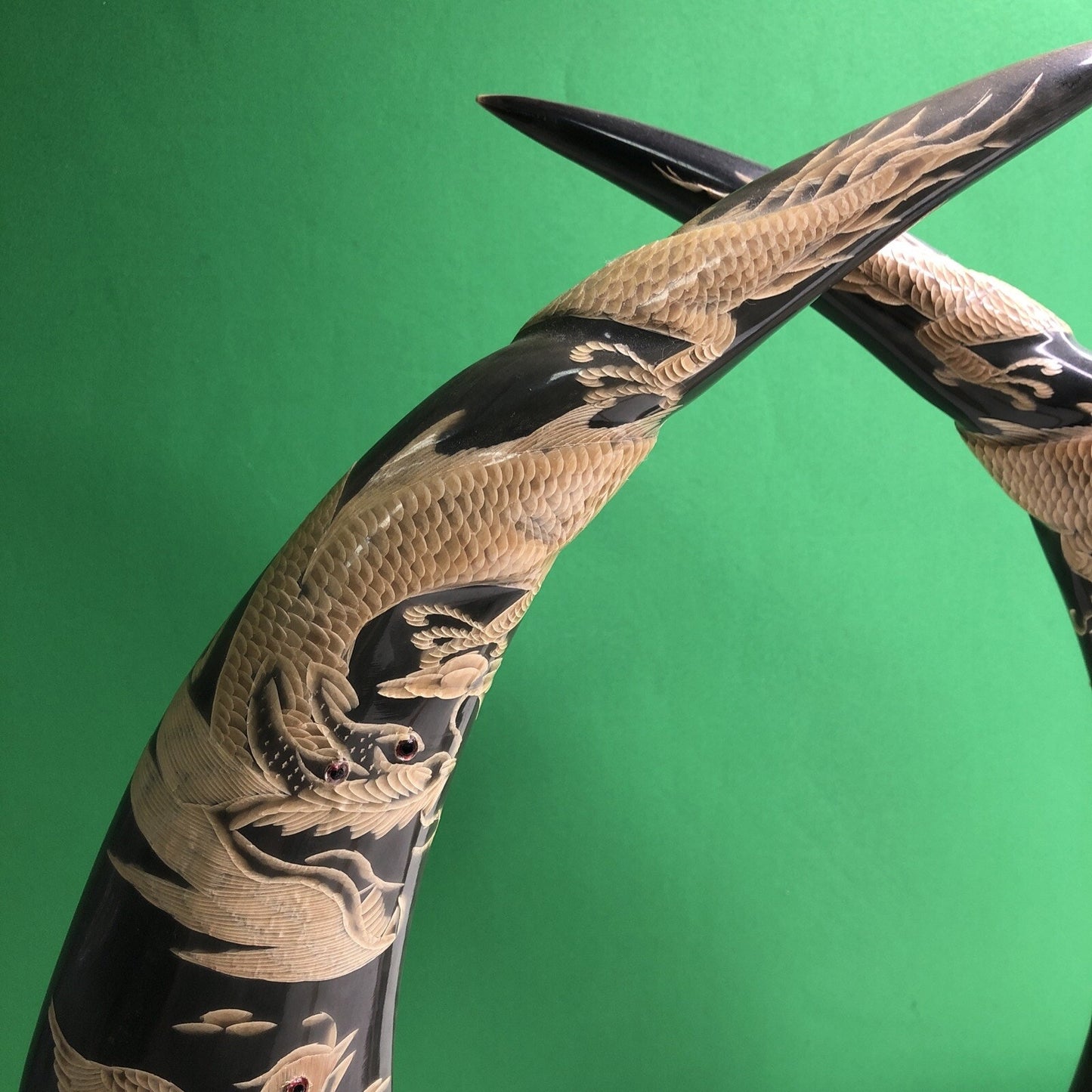 PAIR OF Large WATER BUFFALO HORNS CARVED WITH DRAGON & PHOENIX FENG SHUI