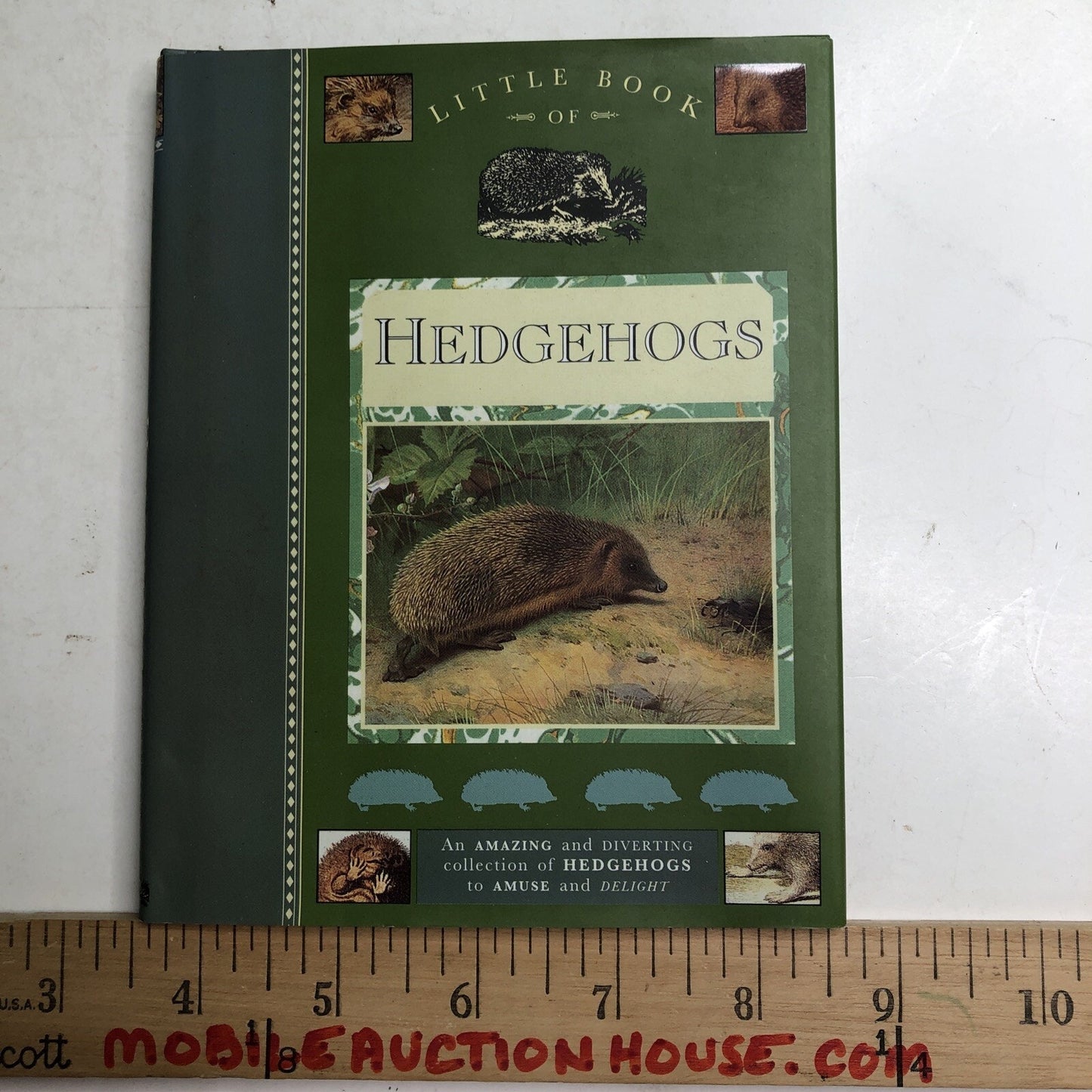 Little Book of Hedgehogs Hardcover Dust Jacket Various Authors Gift