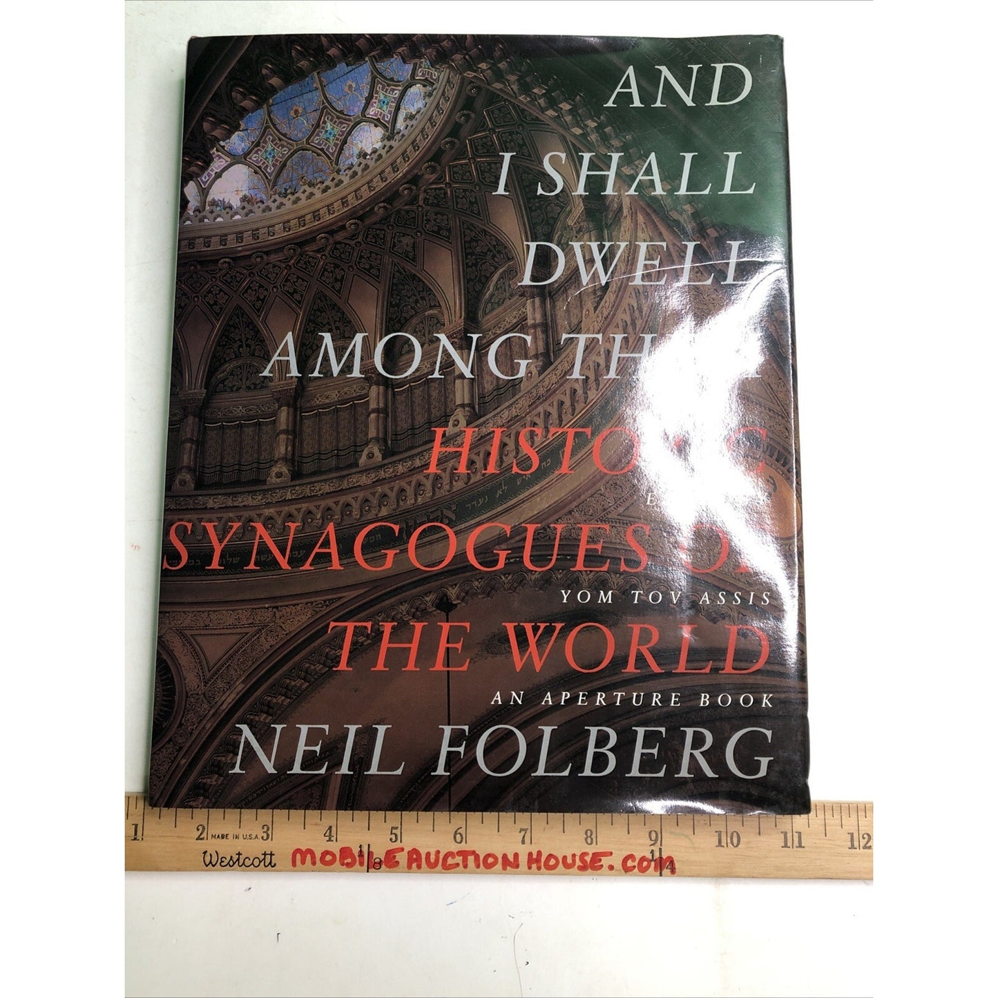 And I Shall Dwell Among Them Historic Synagogues of the World by Neil Folberg HC