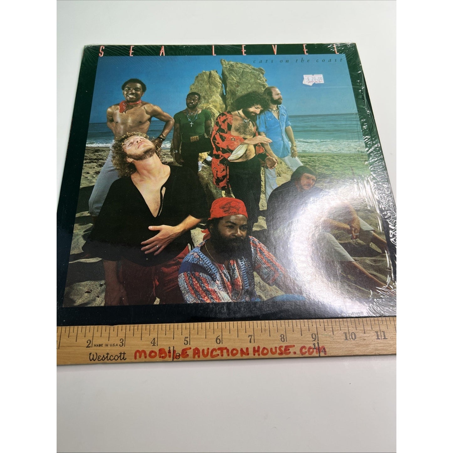 Sea Level - Cats On The Coast - 1977 Capricorn Records Vinyl Record LP Album