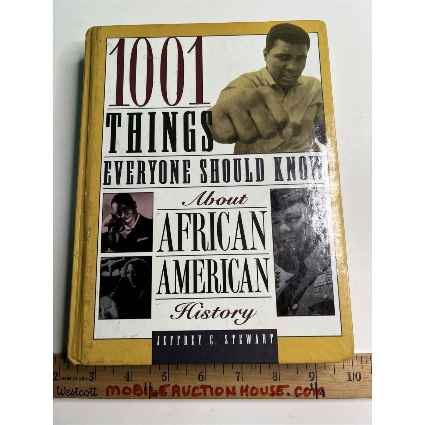 1001 Things Everyone Should Know About African American History By Stewart HC