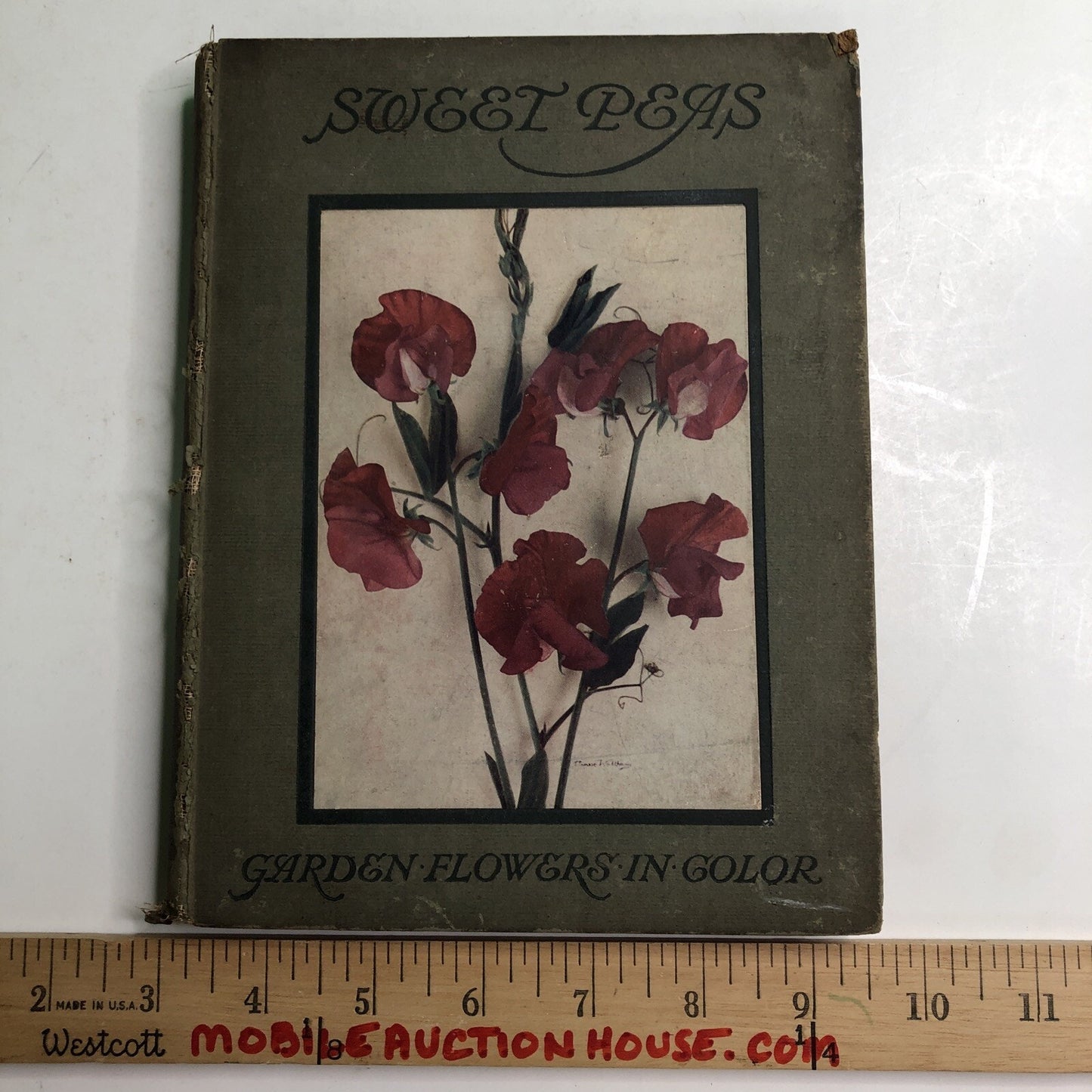 1910 Sweet Peas by Horace J. Wright Hardcover Color Plates