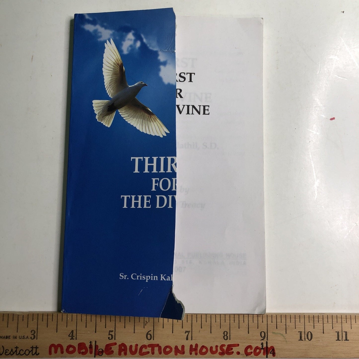2007 Thirst For The Divine Sr. Crispin Kalathil Cover Damage PB India