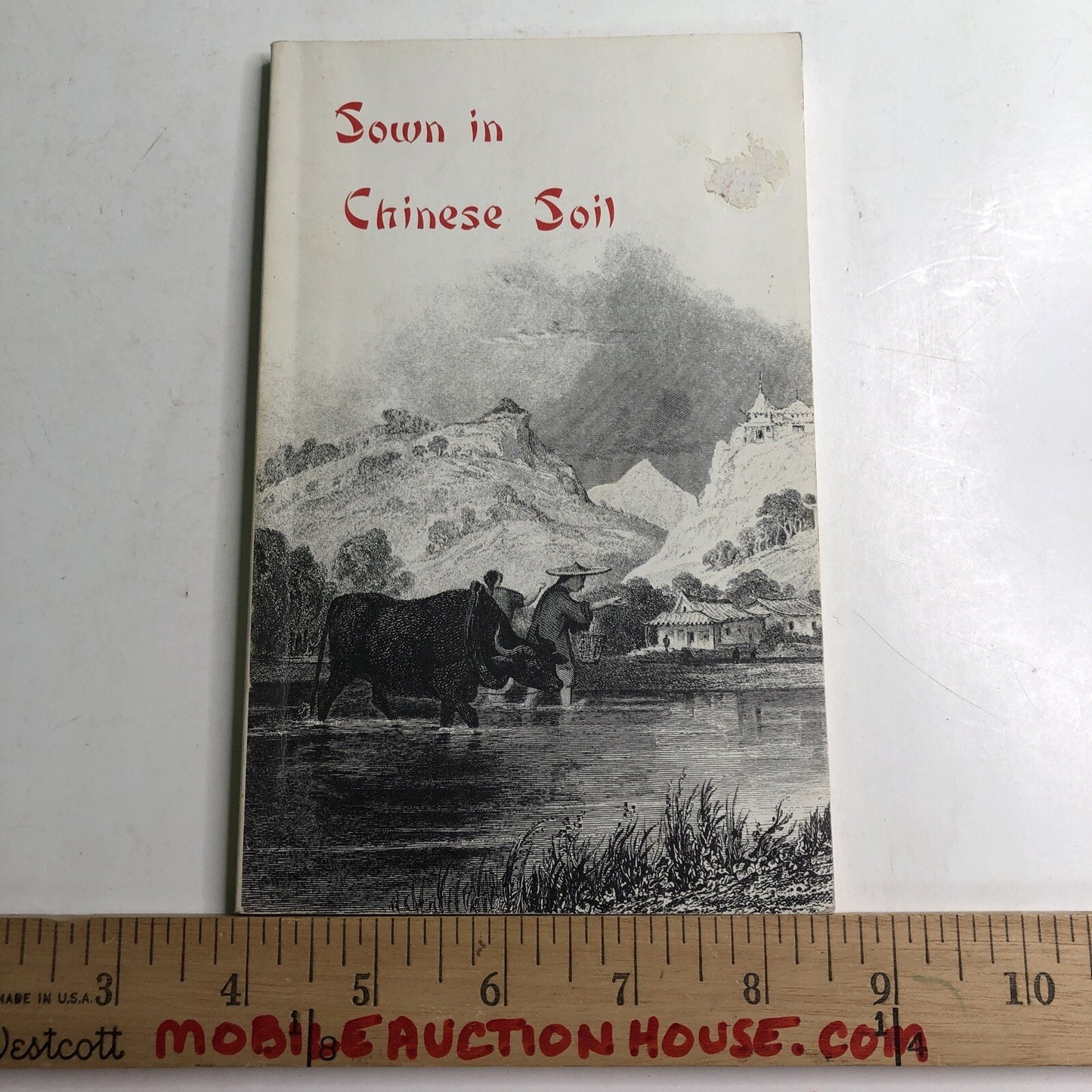 Sown in Chinese Soil: Life of Francoise Teilhard de Chardin Sr. Marie Alberic du