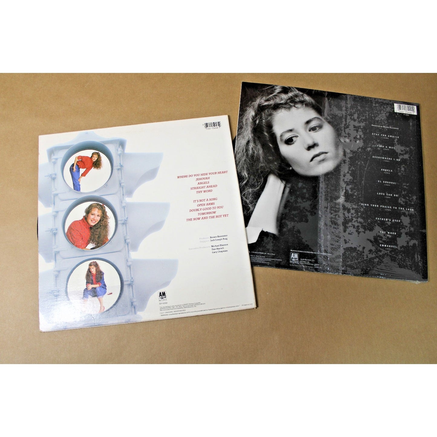 2 Album Lot, Christian Pop Star Amy Grant: The Collection and Straight Ahead
