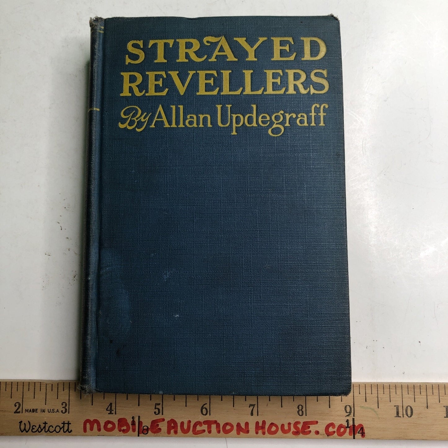 1918 Allan Updegraff Strayed Revellers A Novel of Modernistic Truth and Intrud
