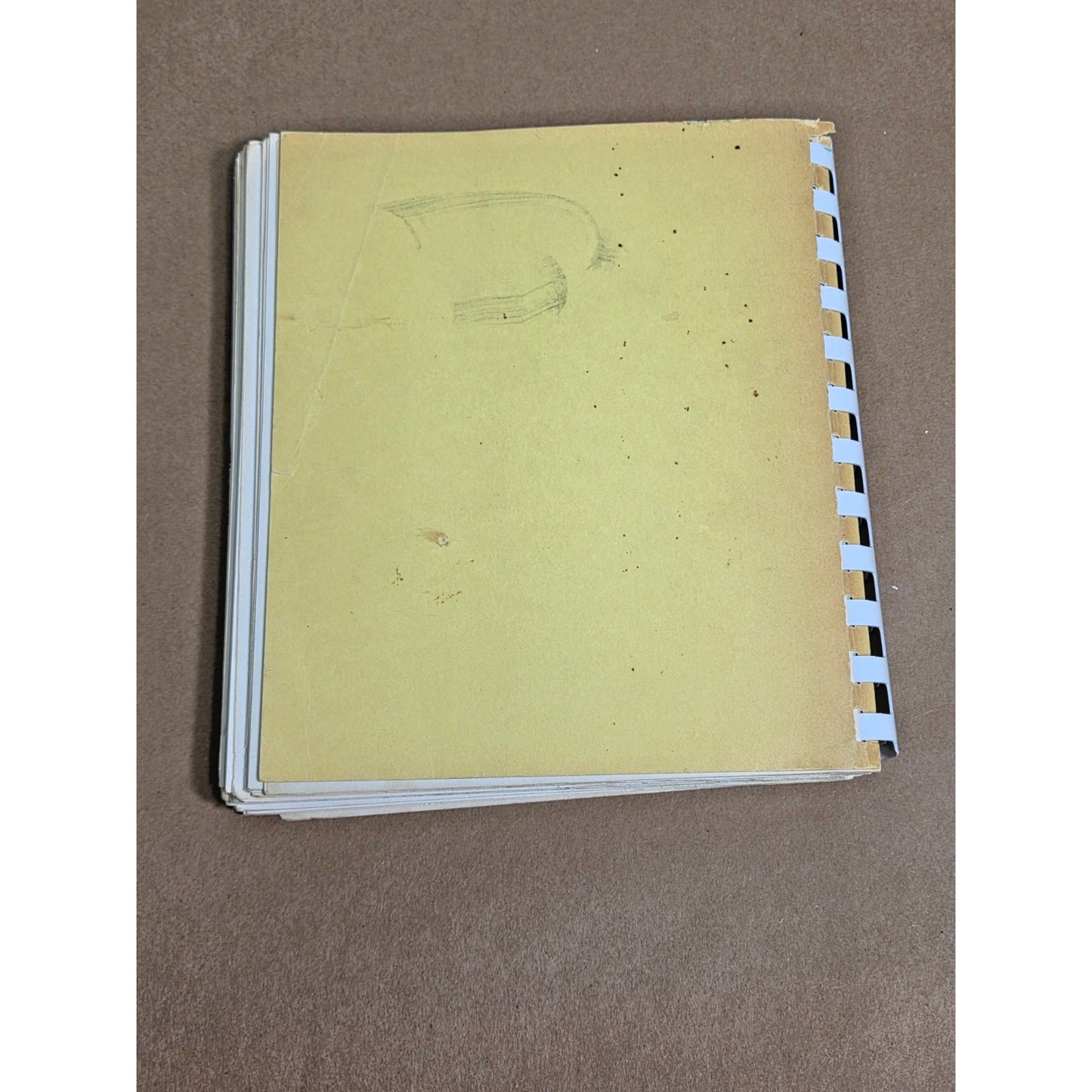 Vintage 1974 Young Christian Mothers Dallas Texas TX Community Cookbook