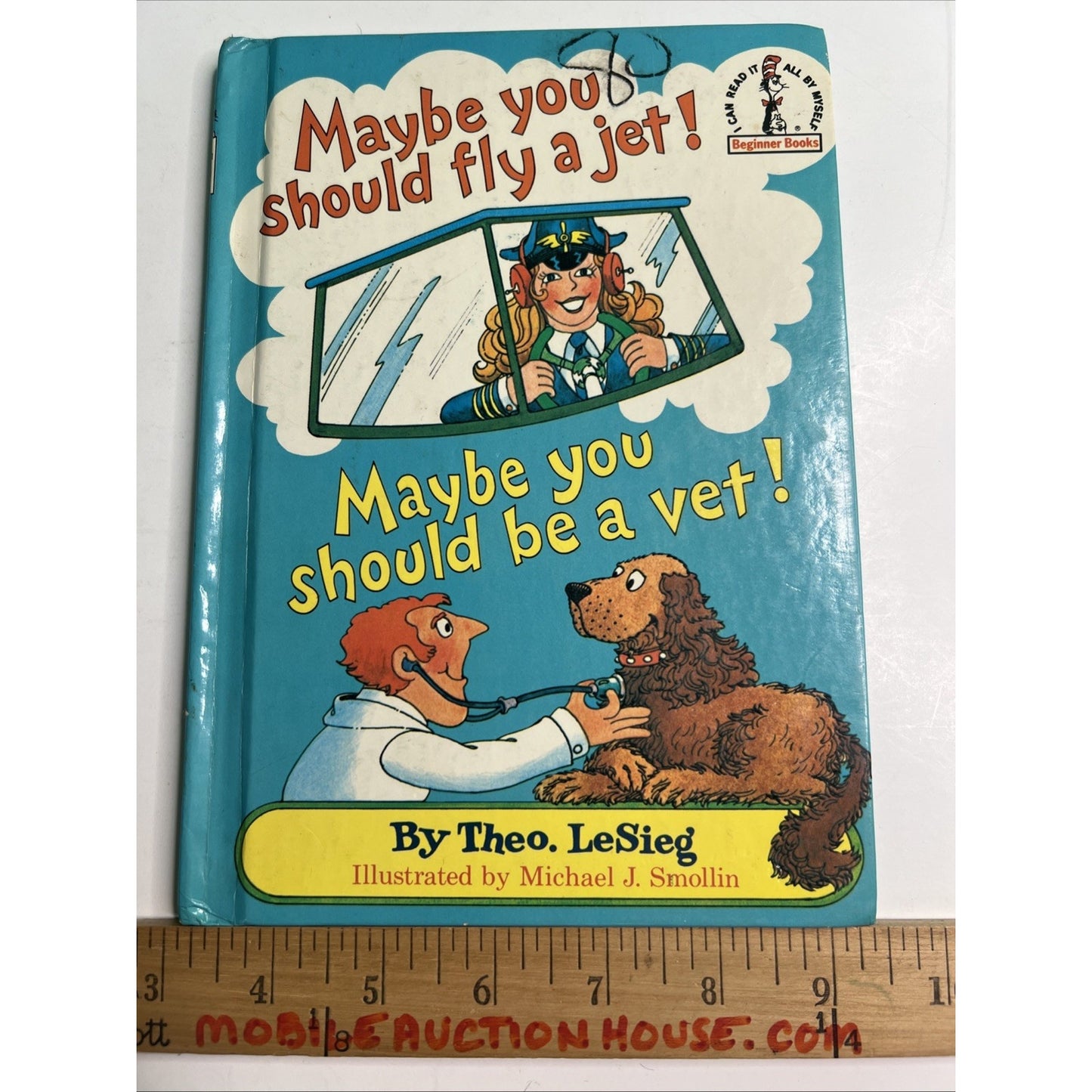 Maybe You Should Fly A Jet! Maybe You Should Be A Vet! by Theo. LeSieg - 1980 HC