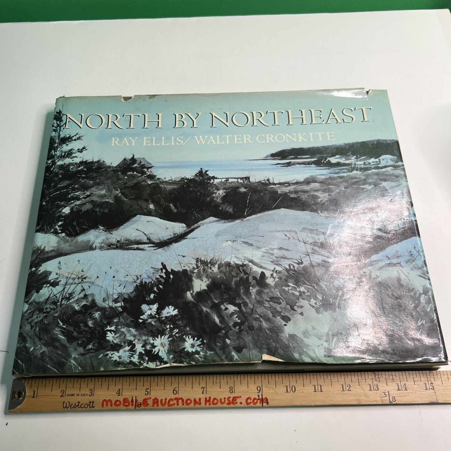 NORTH BY NORTHEAST 1986 HC DJ by Ray Ellis & Walter Cronkite Illustrated 1st Ed