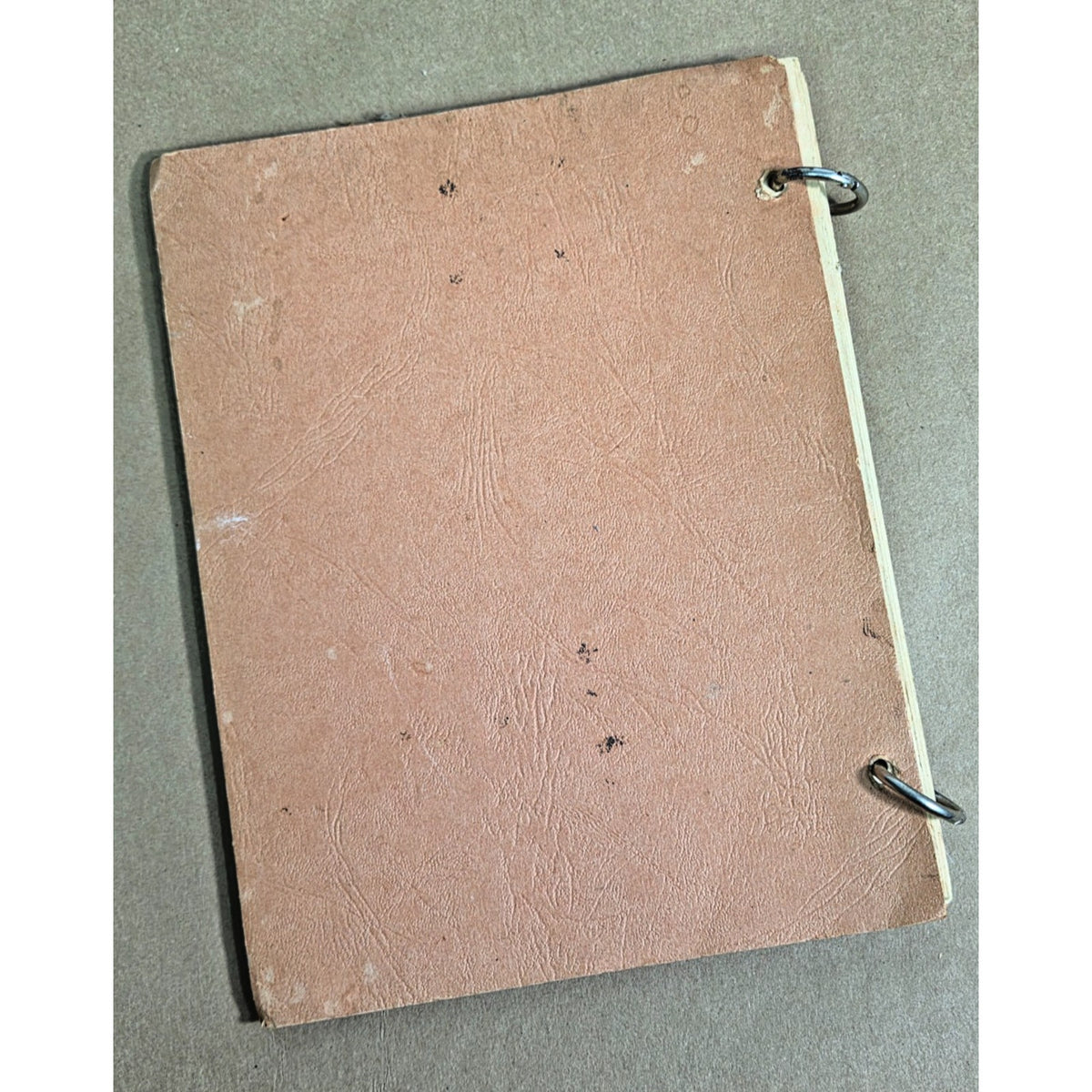 1930 Pet Milk Recipes Cookbook - Rare 1st Ed Ring-Bound Advertising History