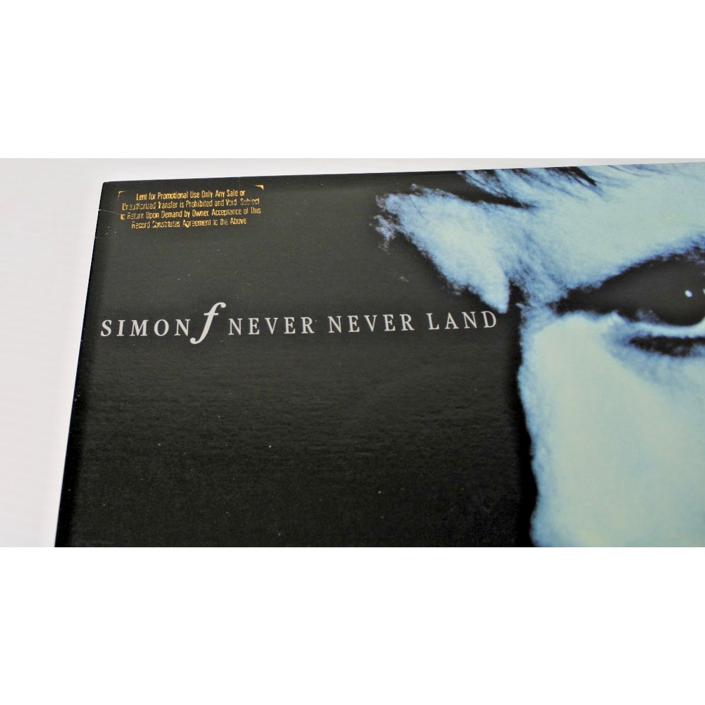 Simon F (Fellowes)- Never Never Land, 1987 Vinyl LP Reprise Records- Excellent!