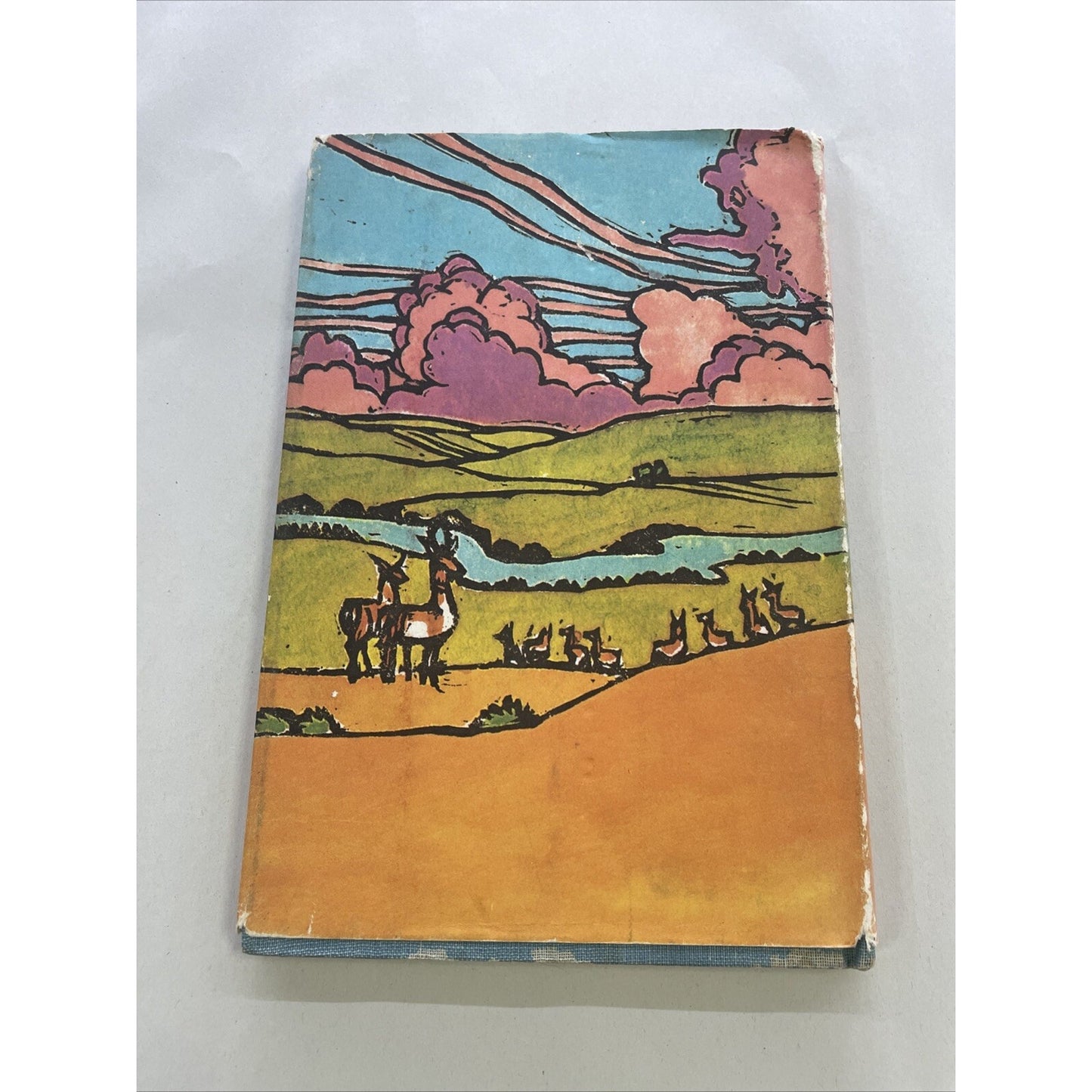 Pronghorn On The Powder River By Bernice Freschet (Hardcover, DJ, 1973) - RARE