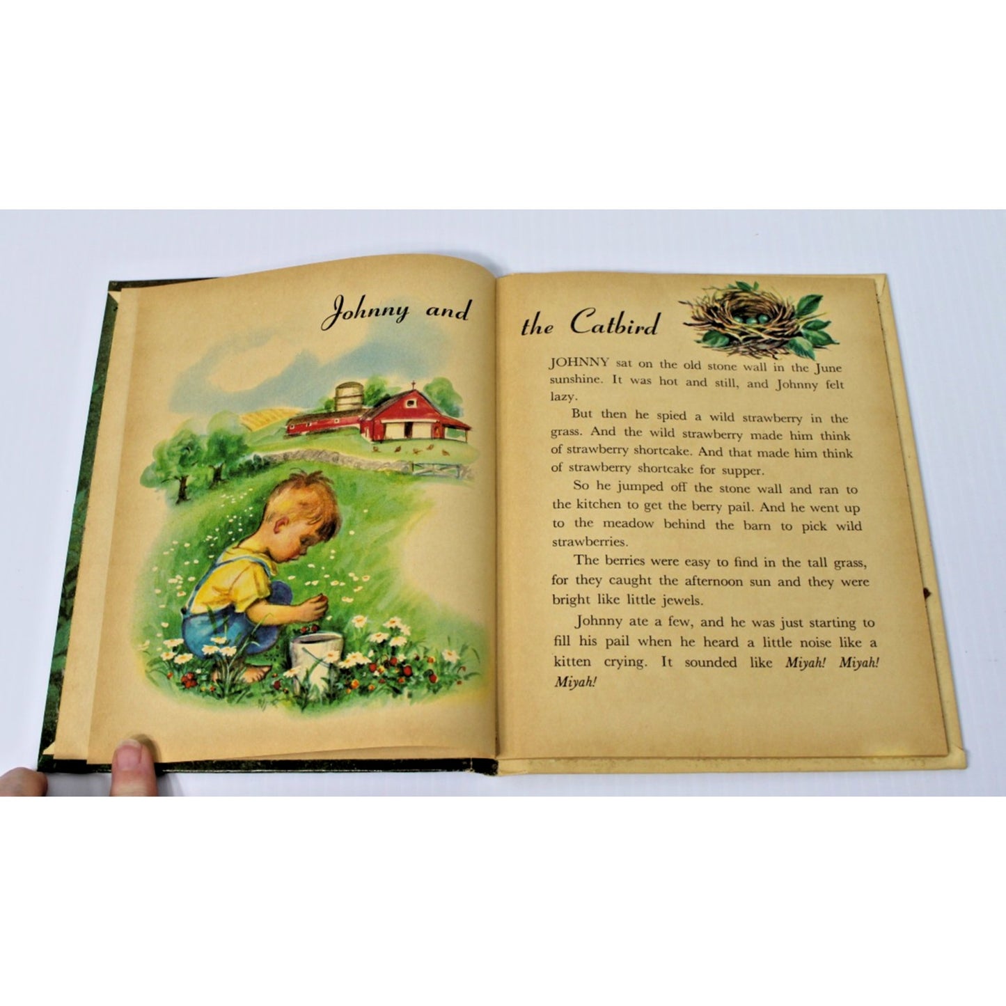 Vintage 1950 Junior Elf Book- Johnny and the Birds by Ian Munn, Rand McNally