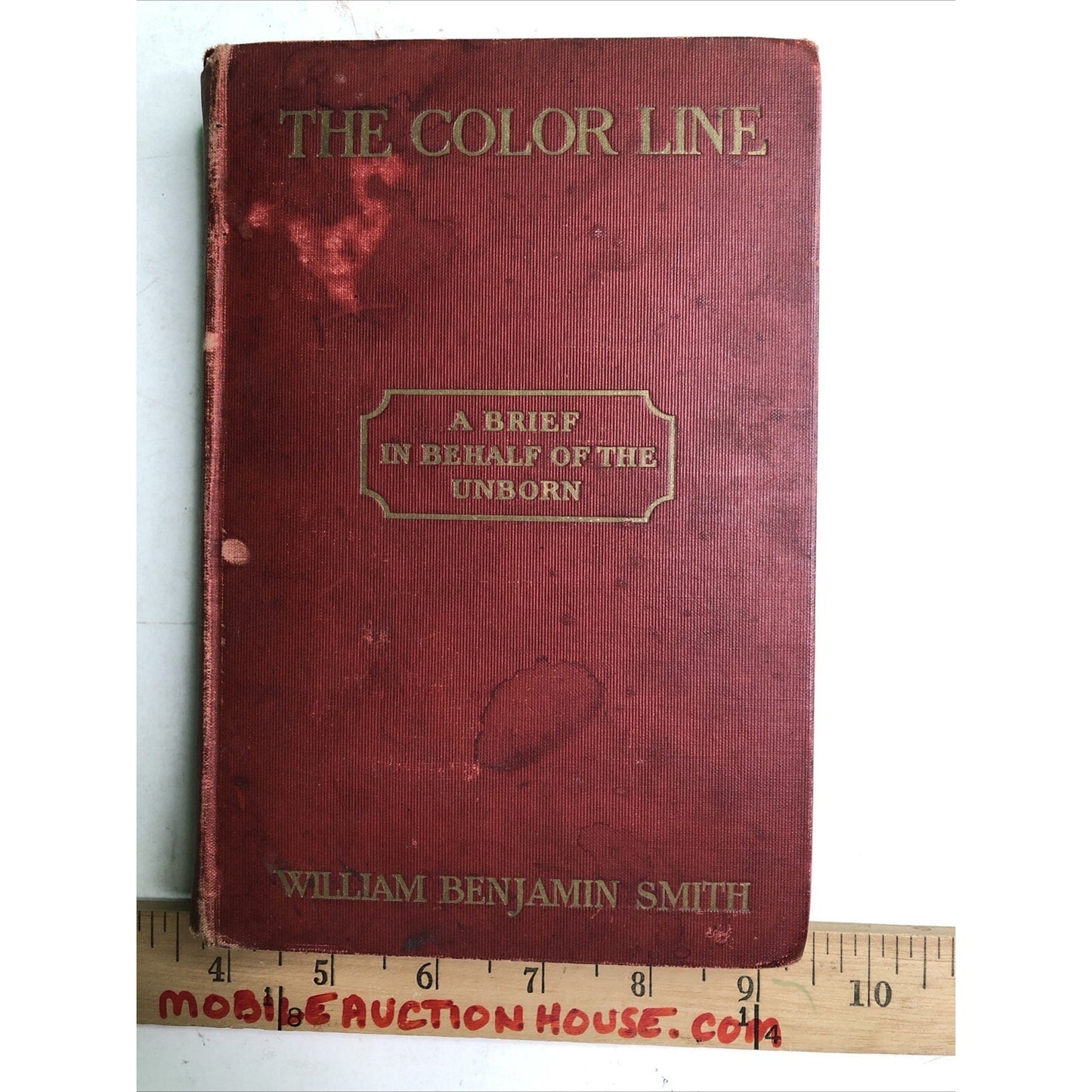 The Color Line A Brief on Behalf of the Unborn 1905 HC by William Benjamin Smith