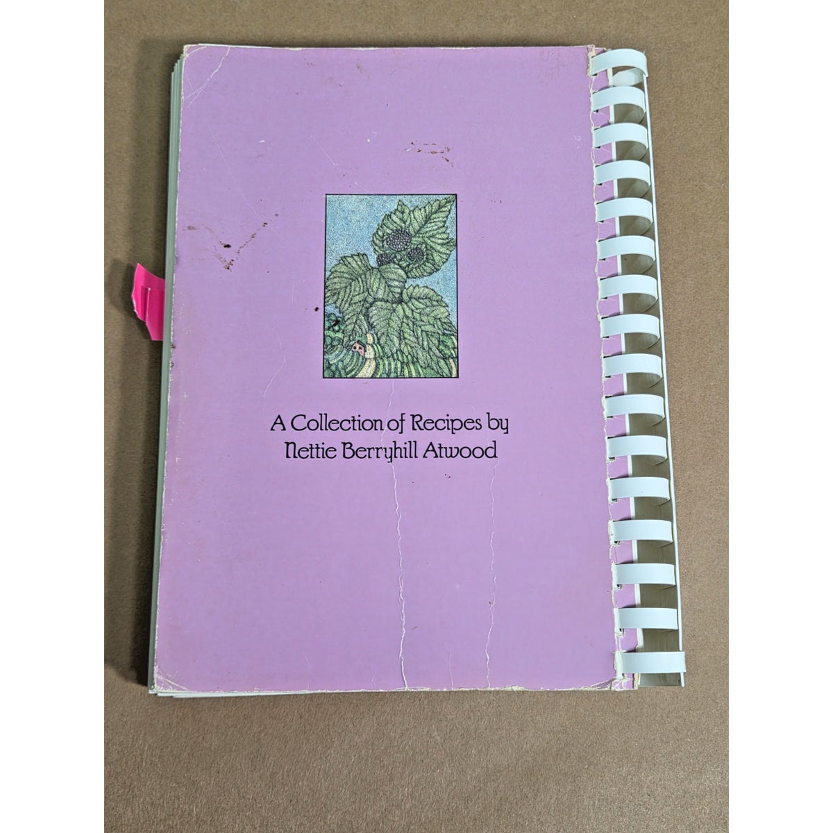 Vintage 1987 *Signed* "Berries on the Hill" Cookbook - Southern Recipes & Art