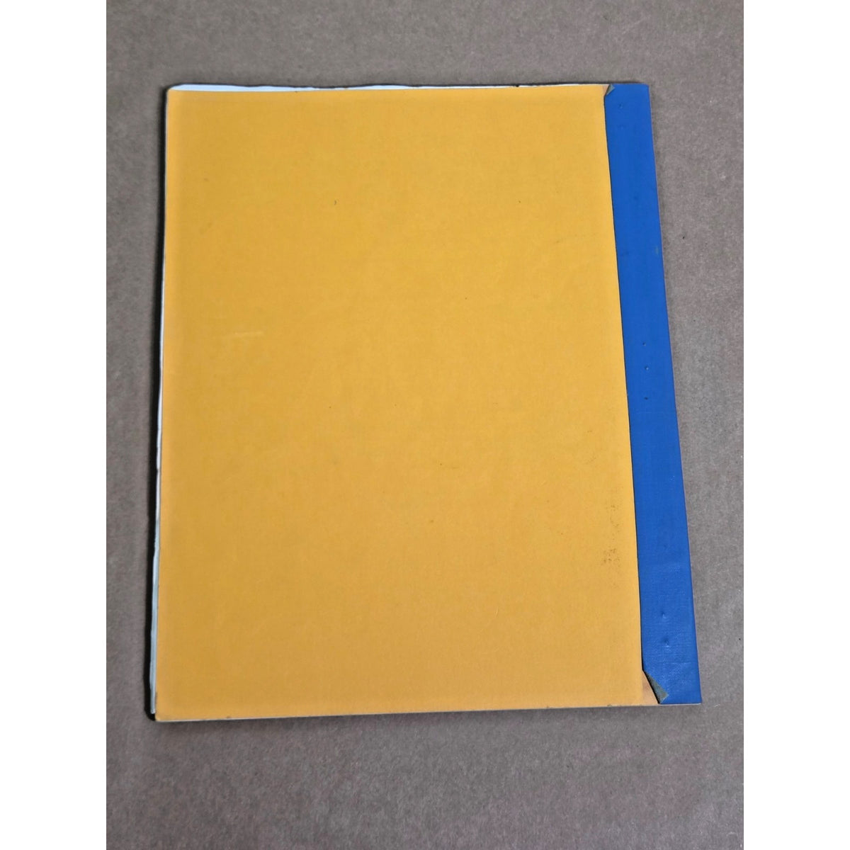 Ralph Waldo Emerson: Forerunner of the Future by Carl Stegmann (1981) RARE