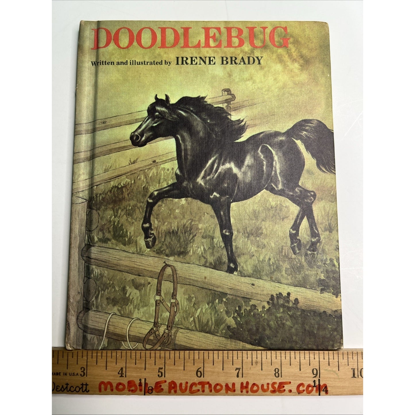 Doodlebug By Irene Brady Hardcover Weekly Reader Books 1977 Horse Illustrated