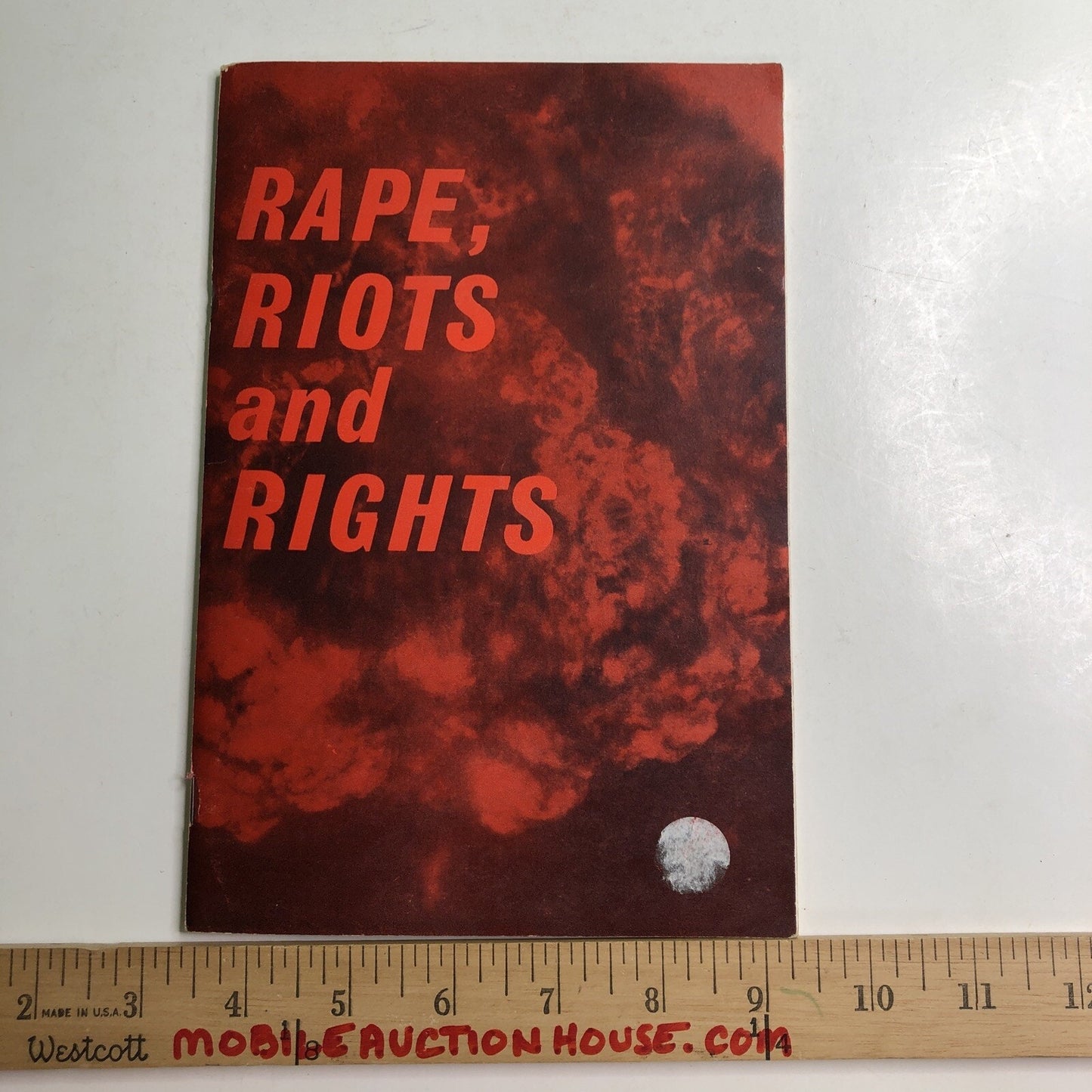 1966 Rape Riots & Rights by S. S. McClure Published By Author