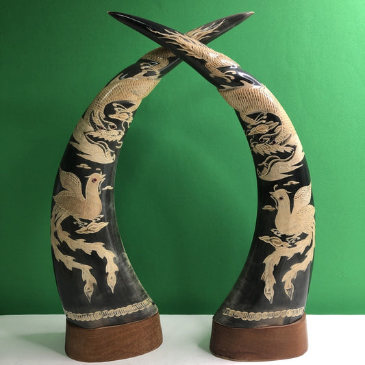 PAIR OF Large WATER BUFFALO HORNS CARVED WITH DRAGON & PHOENIX FENG SHUI