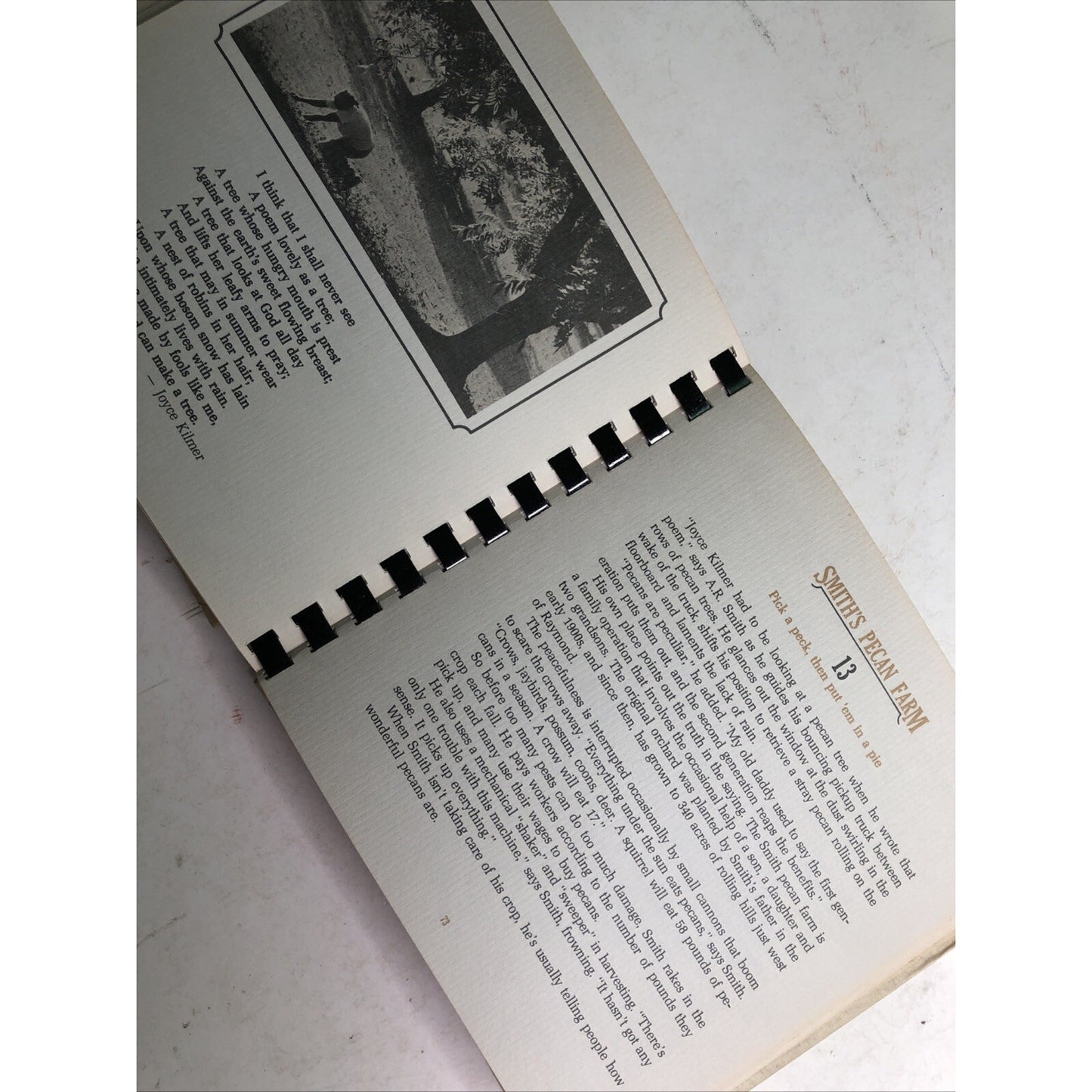 A Cook’s Tour Of Mississippi 1980 Comb Bound Willie Morris Cookbook History