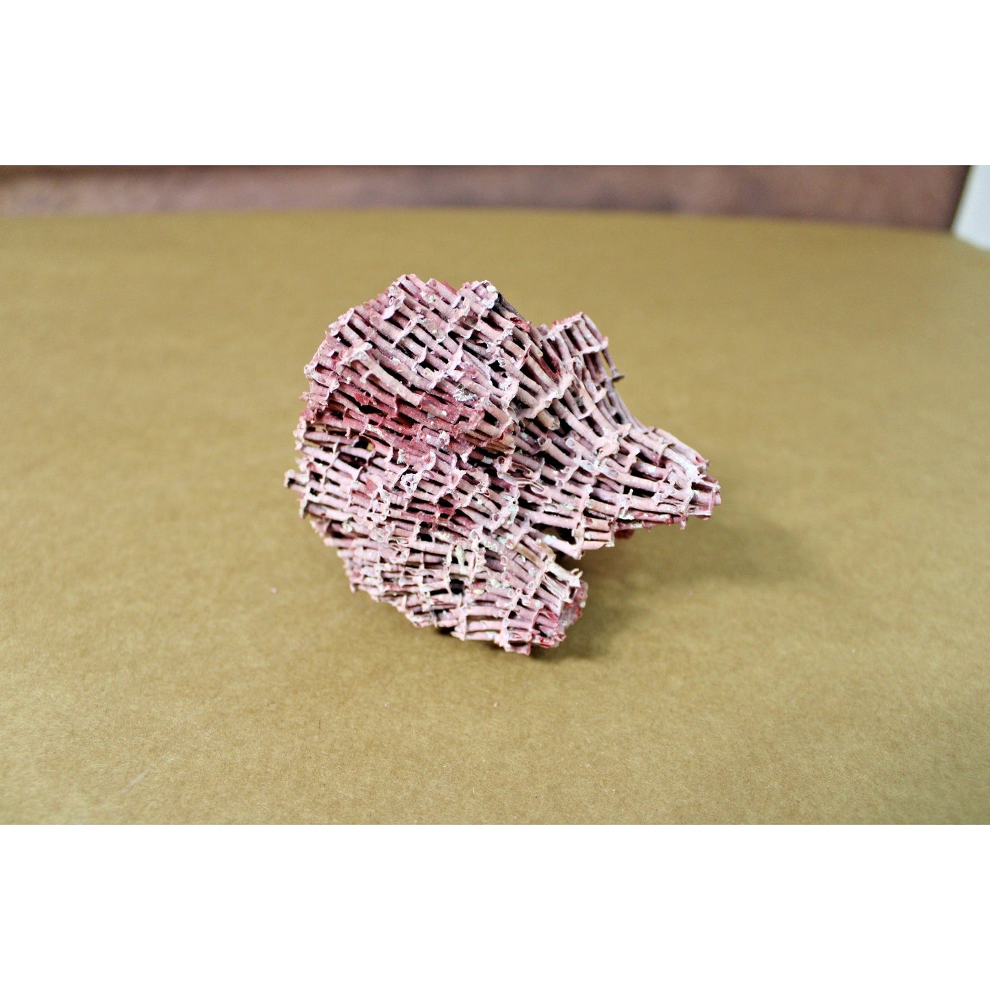 5.5" x 4" x 3.75" Natural Red Pipe Organ Coral Specimen, 2.3oz