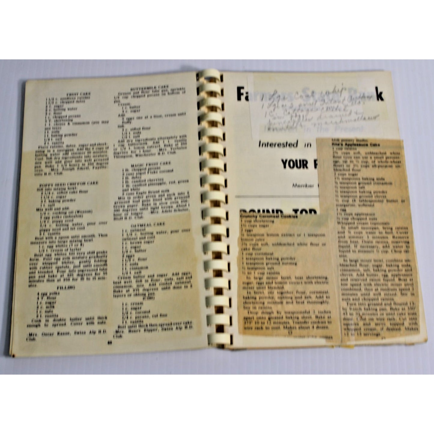 Vintage 1975 Fayette County Texas Community Cookbook Retro Souvenir 3rd Edition