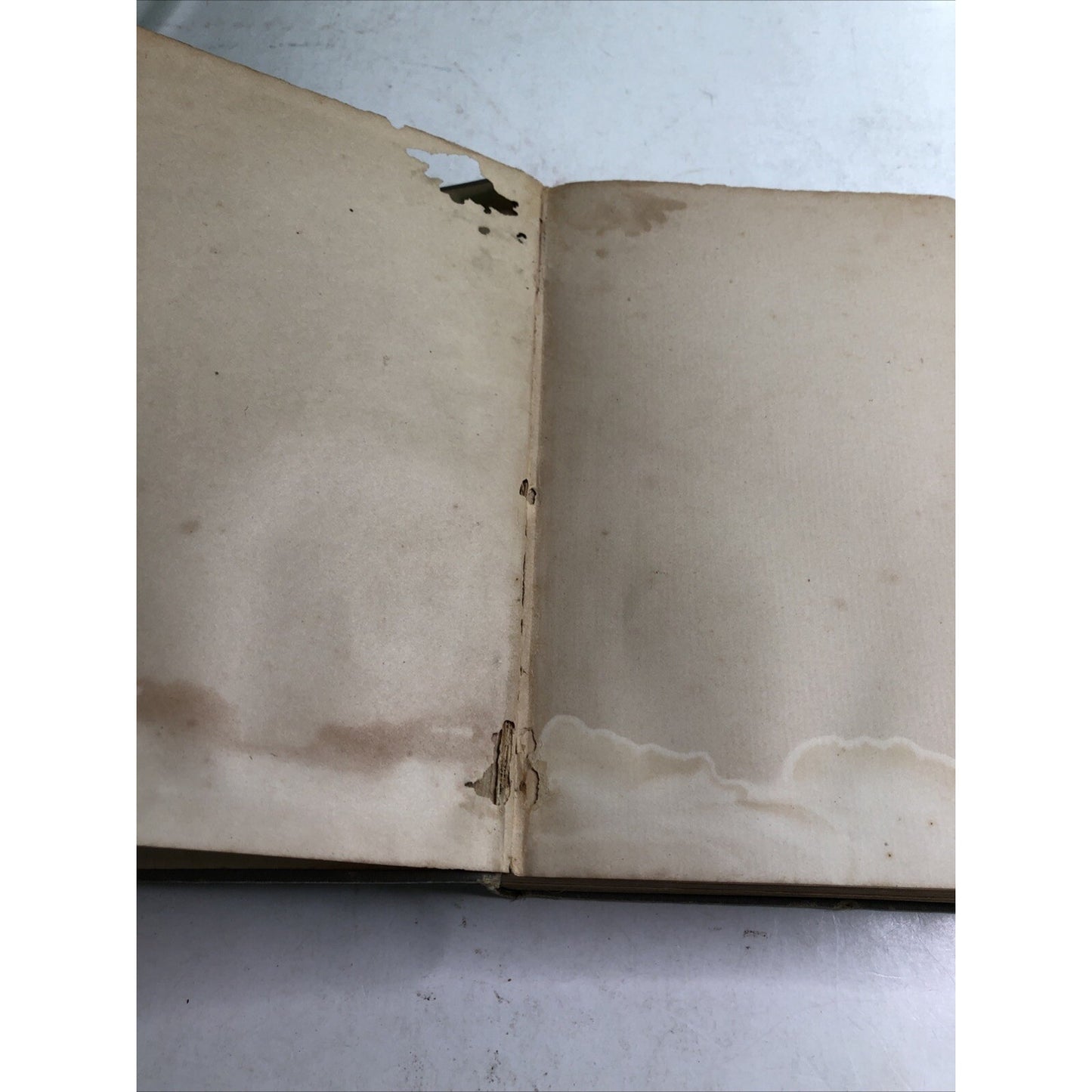 Poems of Sidney Lanier Hardcover Edited by His Wife New Edition 1894