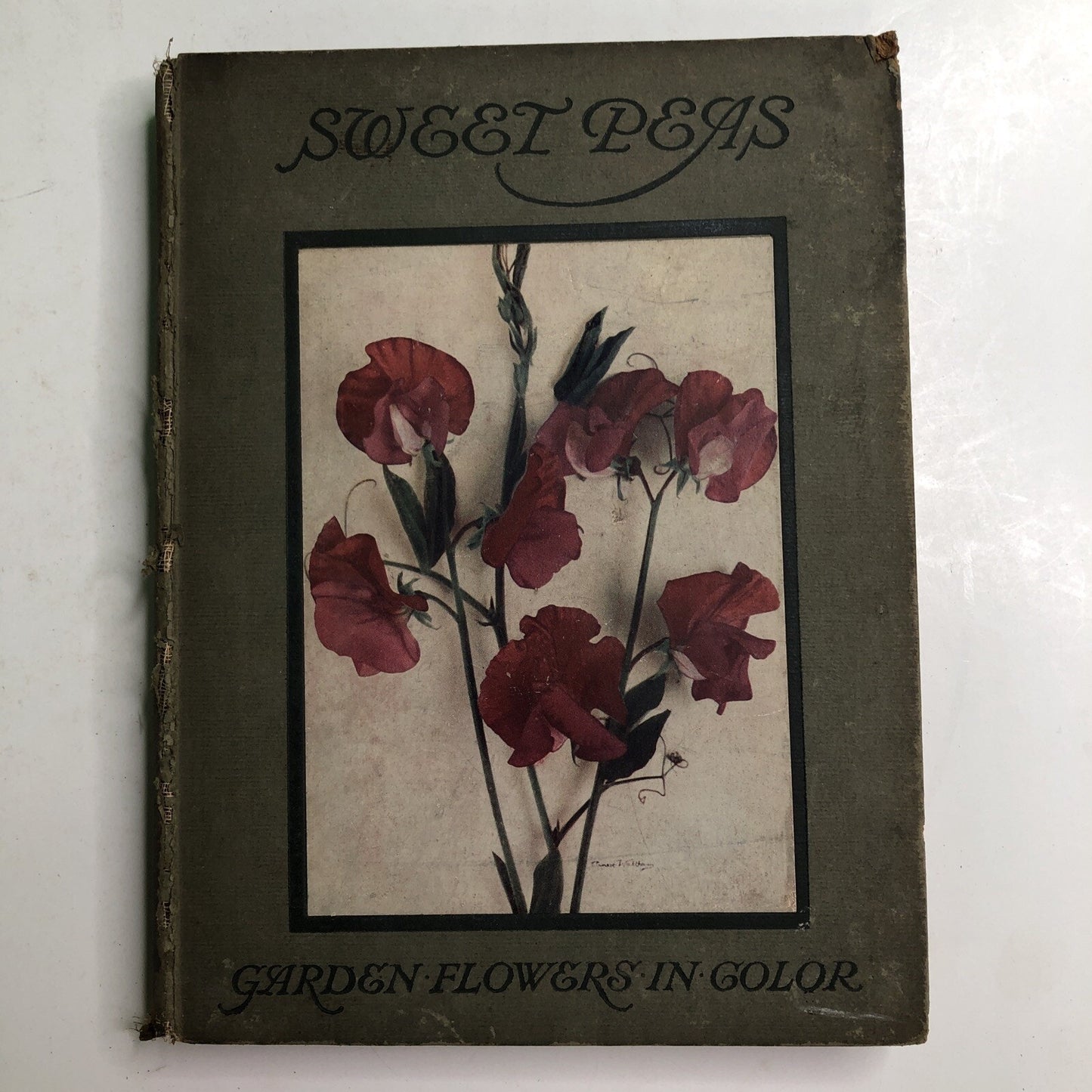 1910 Sweet Peas by Horace J. Wright Hardcover Color Plates