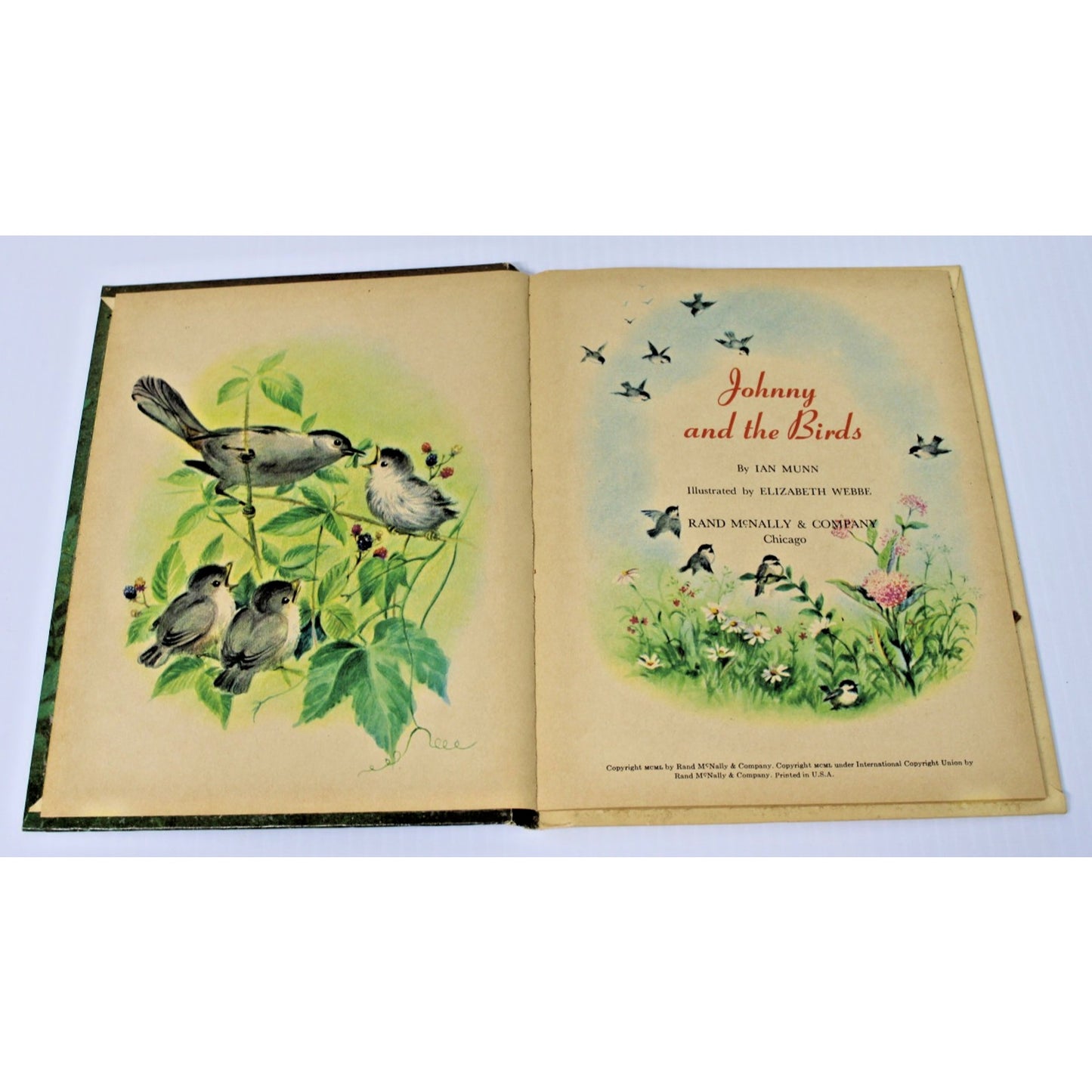 Vintage 1950 Junior Elf Book- Johnny and the Birds by Ian Munn, Rand McNally