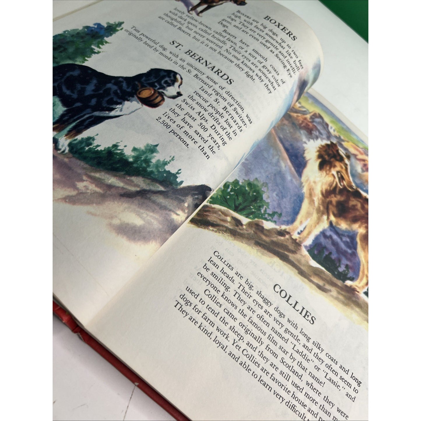 Wonders of Nature A Child's Introduction - Parents Magazine 1974 HC Illustrated
