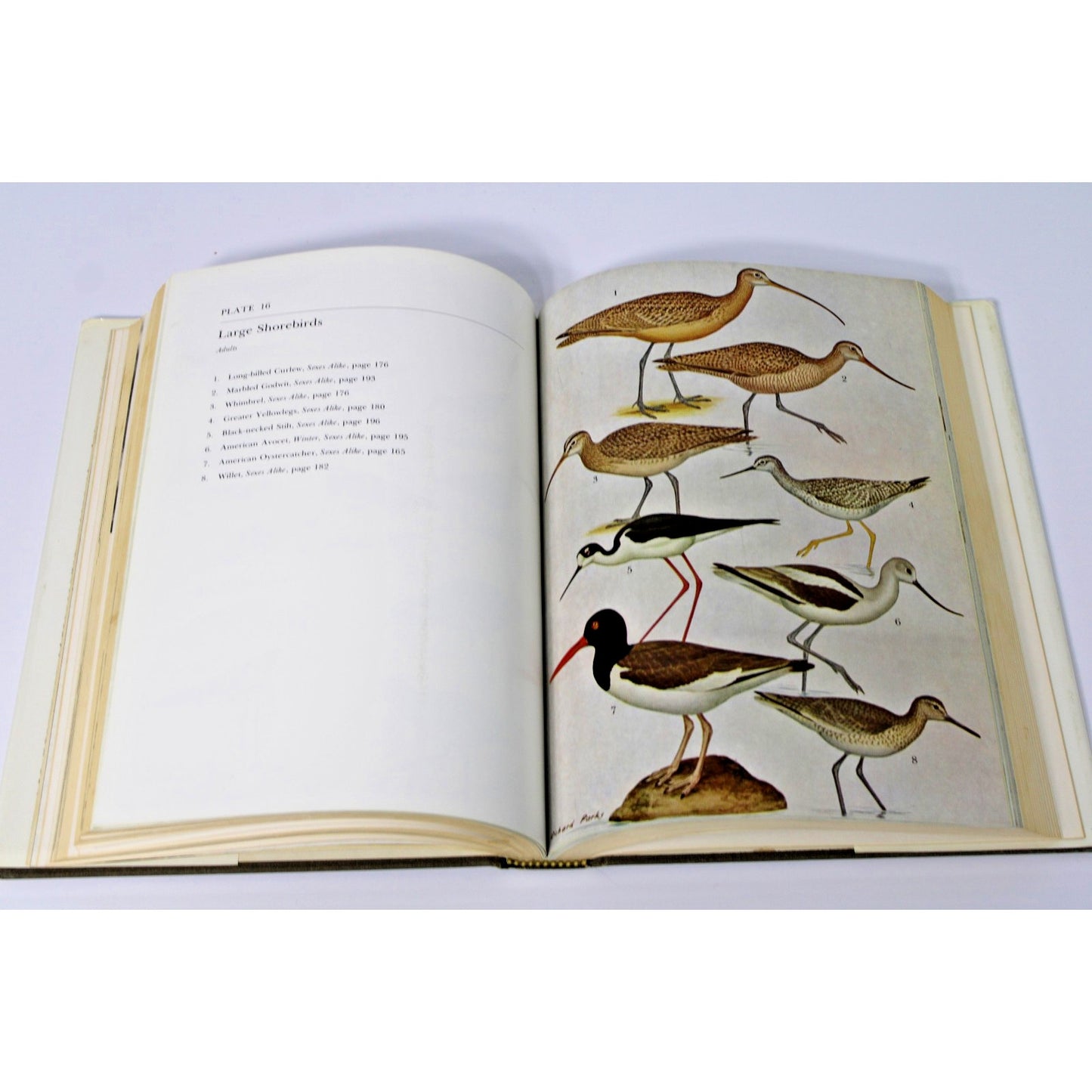 Alabama Birds- Thomas A. Imhof - 2nd Edition 1976 HC/ DJ + Ephemera