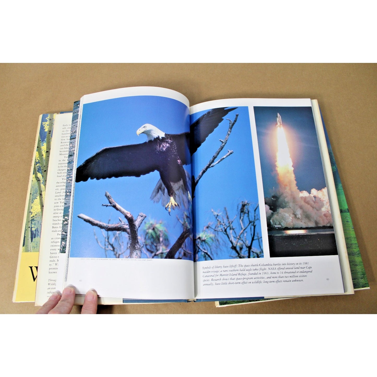 Lot of 3 National Geographic Books: America's Woodlands, Valleys, and Wetlands