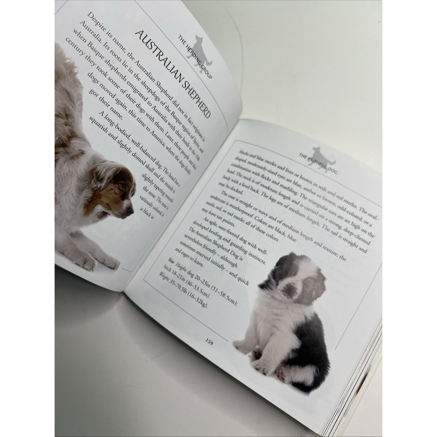 The Faithful Dog: Facts and Breed Information About Our Canine Friends 2016 PB