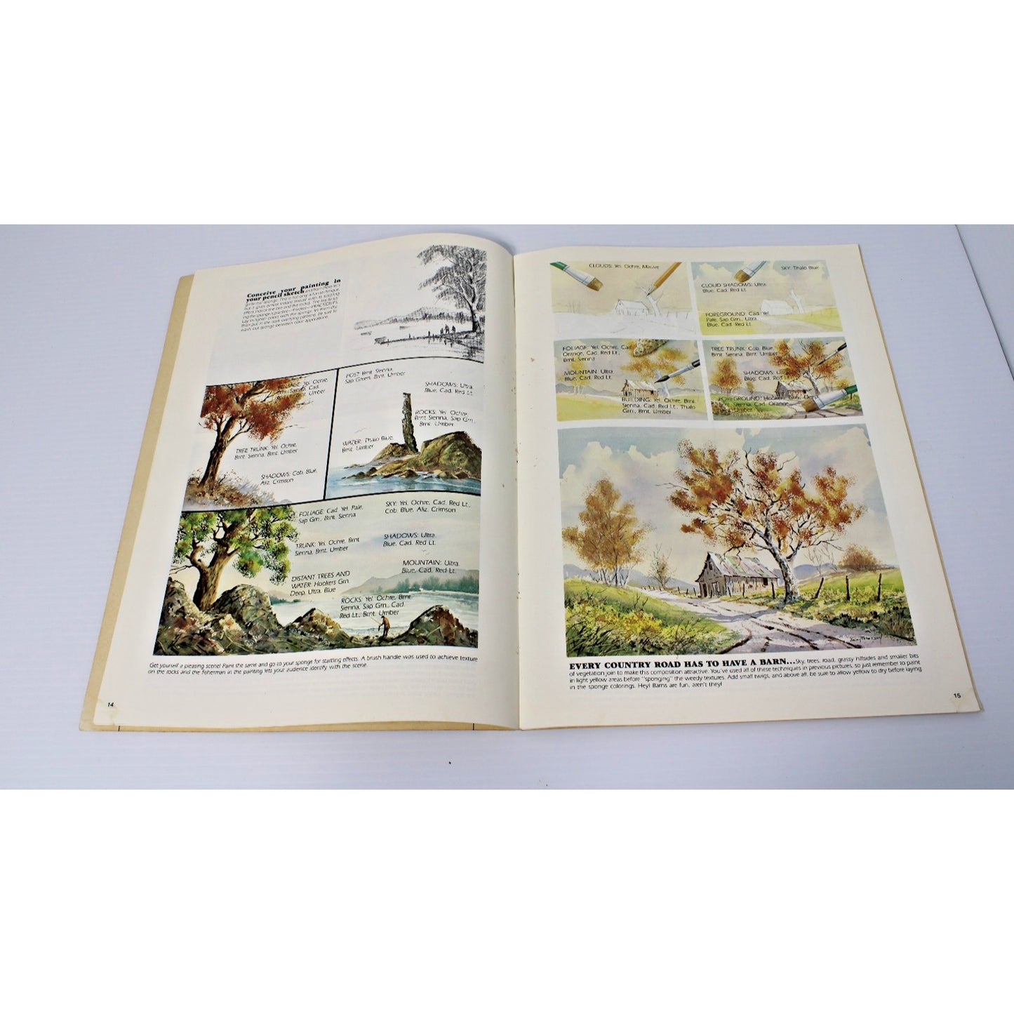 Special Effects In Watercolors- Kolan Peterson, Walter Foster #207 VTG Painting