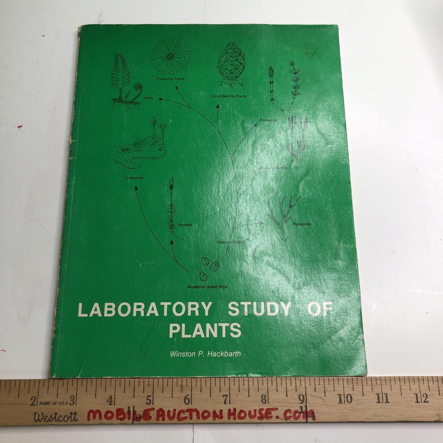 Laboratory Study Of Plants By Winston Hackbarth 1981 PB Illustrated