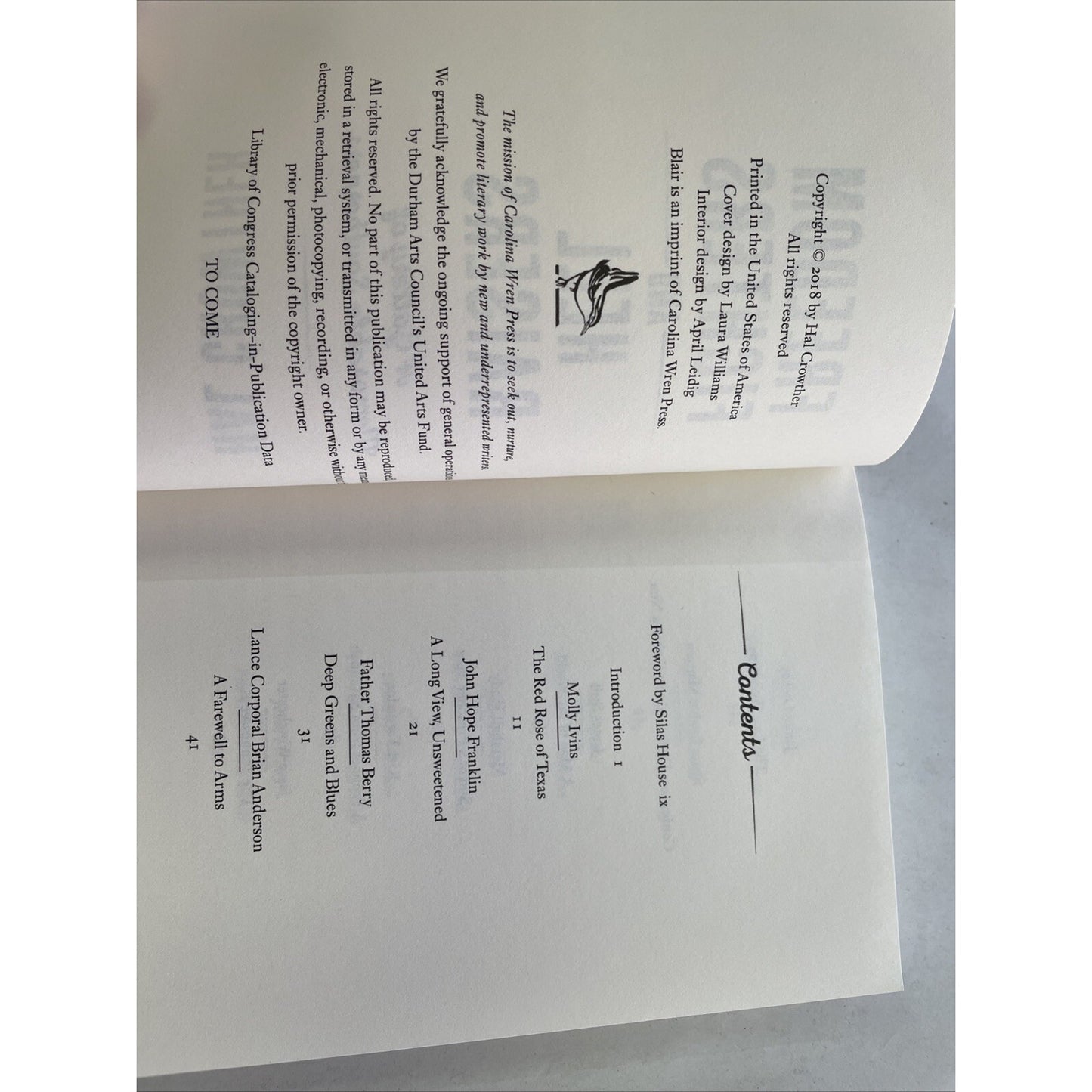 Freedom Fighters and Hell Raisers: A Gallery By Hal Crowther (PB, 2018)